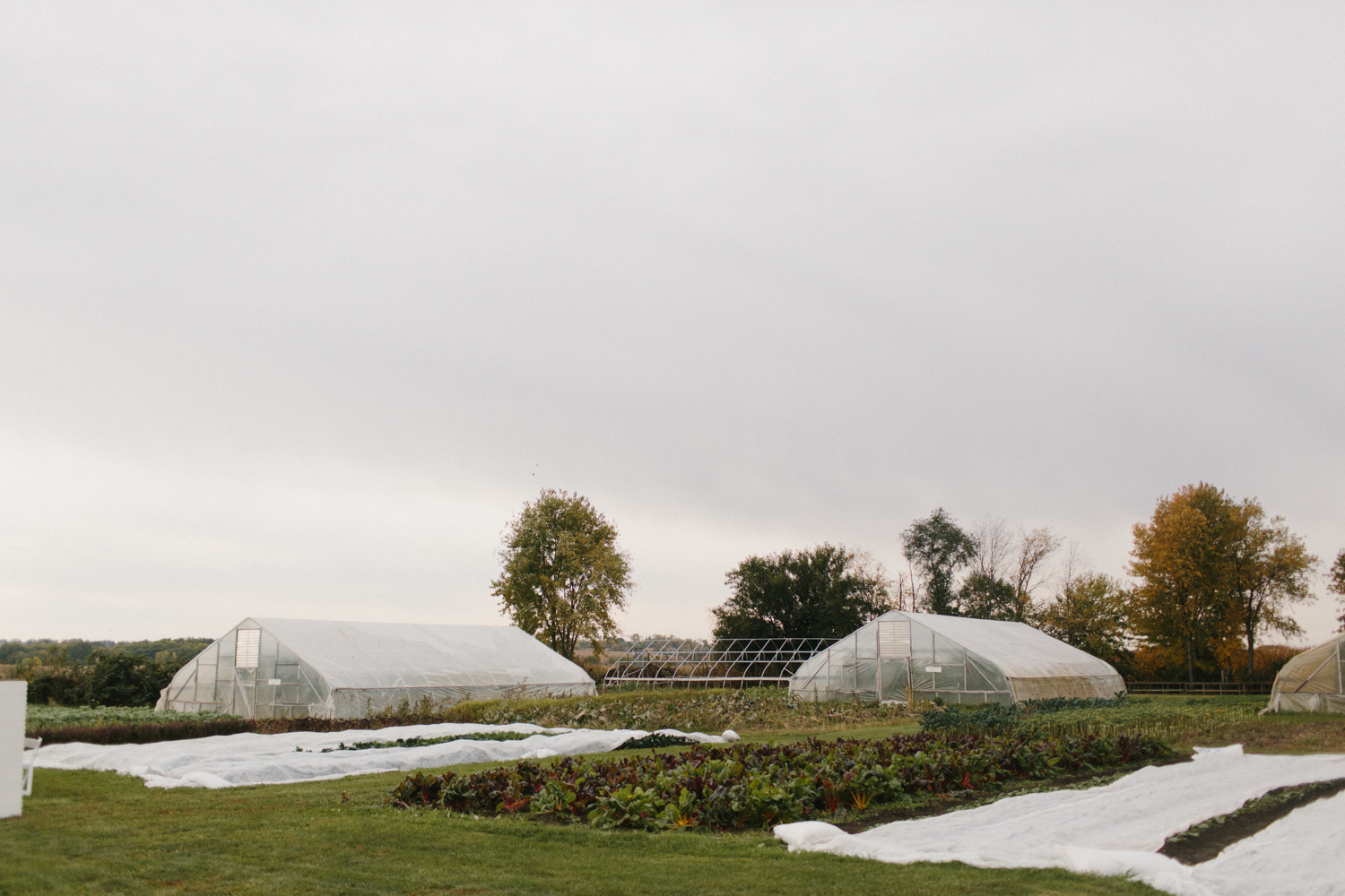 Chicago Wedding Photographer Mae Stier Heritage Prairie Farm Outdoor Romantic Wedding-015.jpg