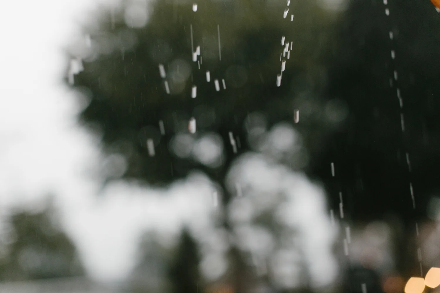 Outdoor Michigan Wedding Photographer Mae Stier-073.jpg