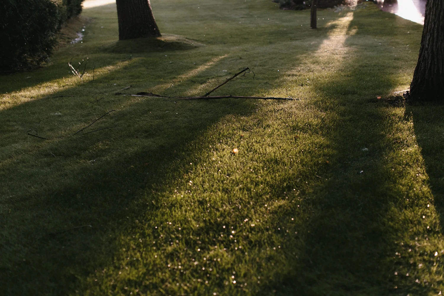 Outdoor Michigan Wedding Photographer Mae Stier-076.jpg