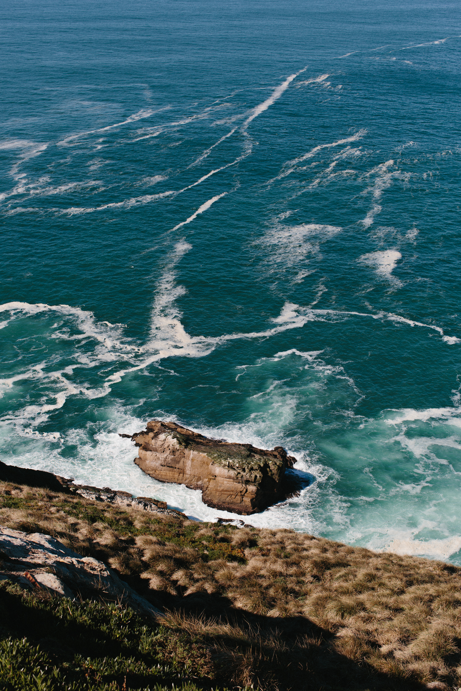 Point Reyes California Lifestyle Photography Wedding Photographer Mae Stier-002.jpg