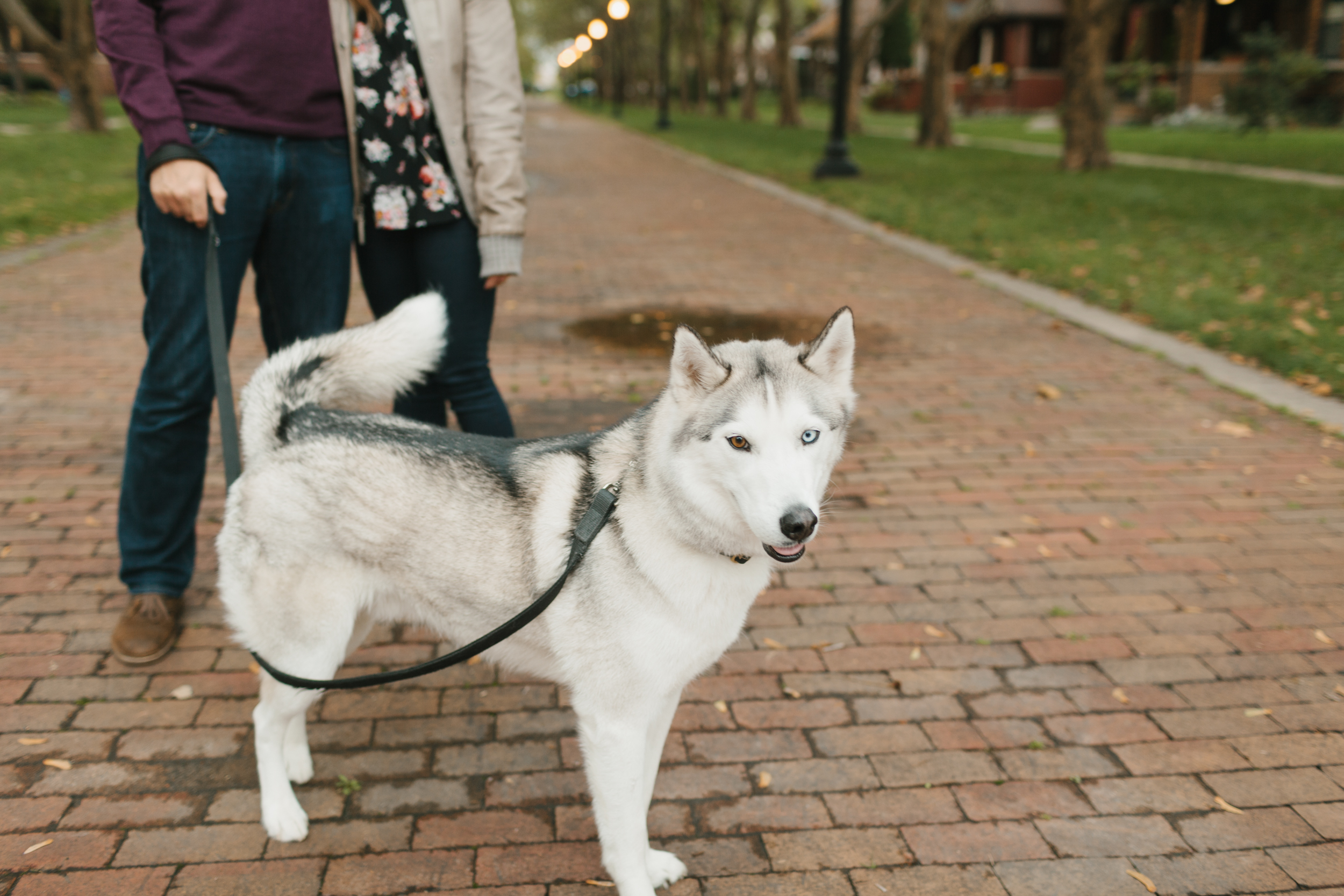 Detroit Engagement and Wedding Photographer Mae Stier-004.jpg