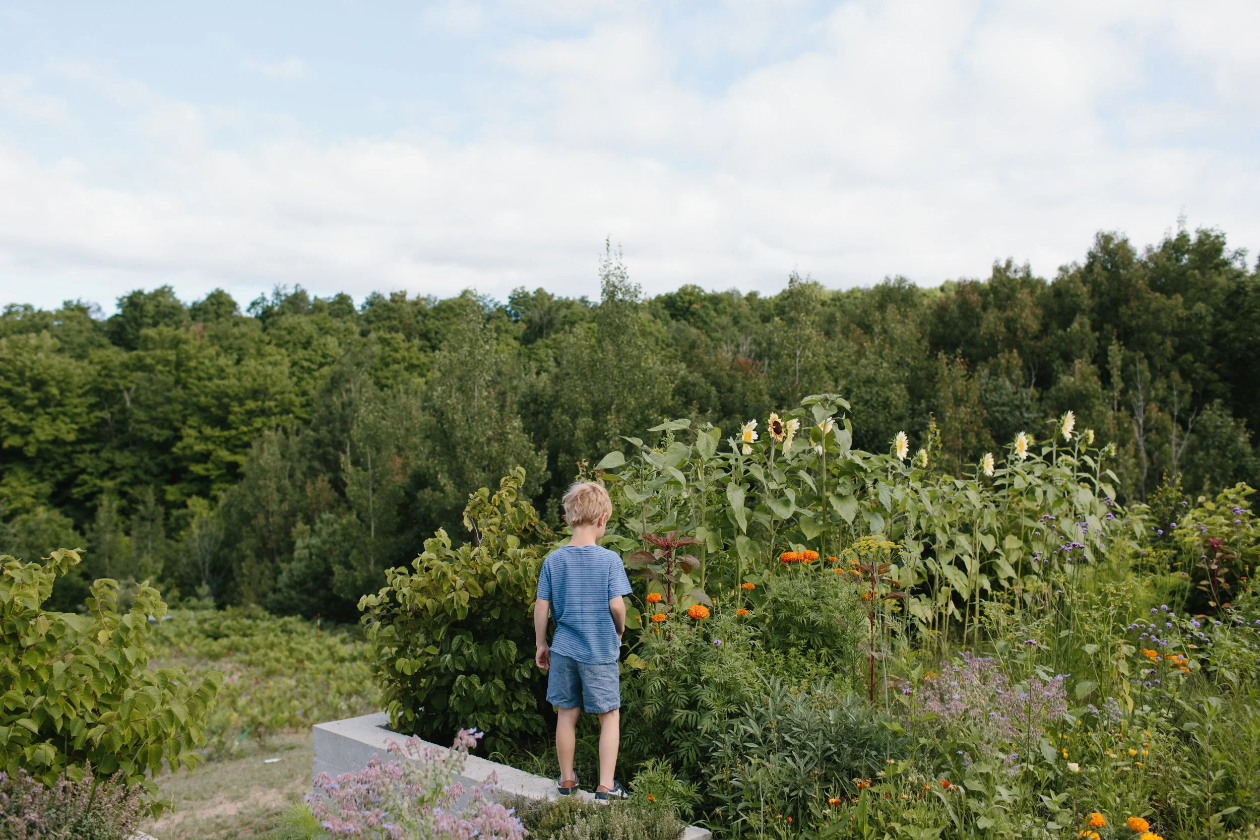 Sleeping Bear Dunes Wedding Photographer Mae Stier Lifestyle Wedding Photography270.JPG