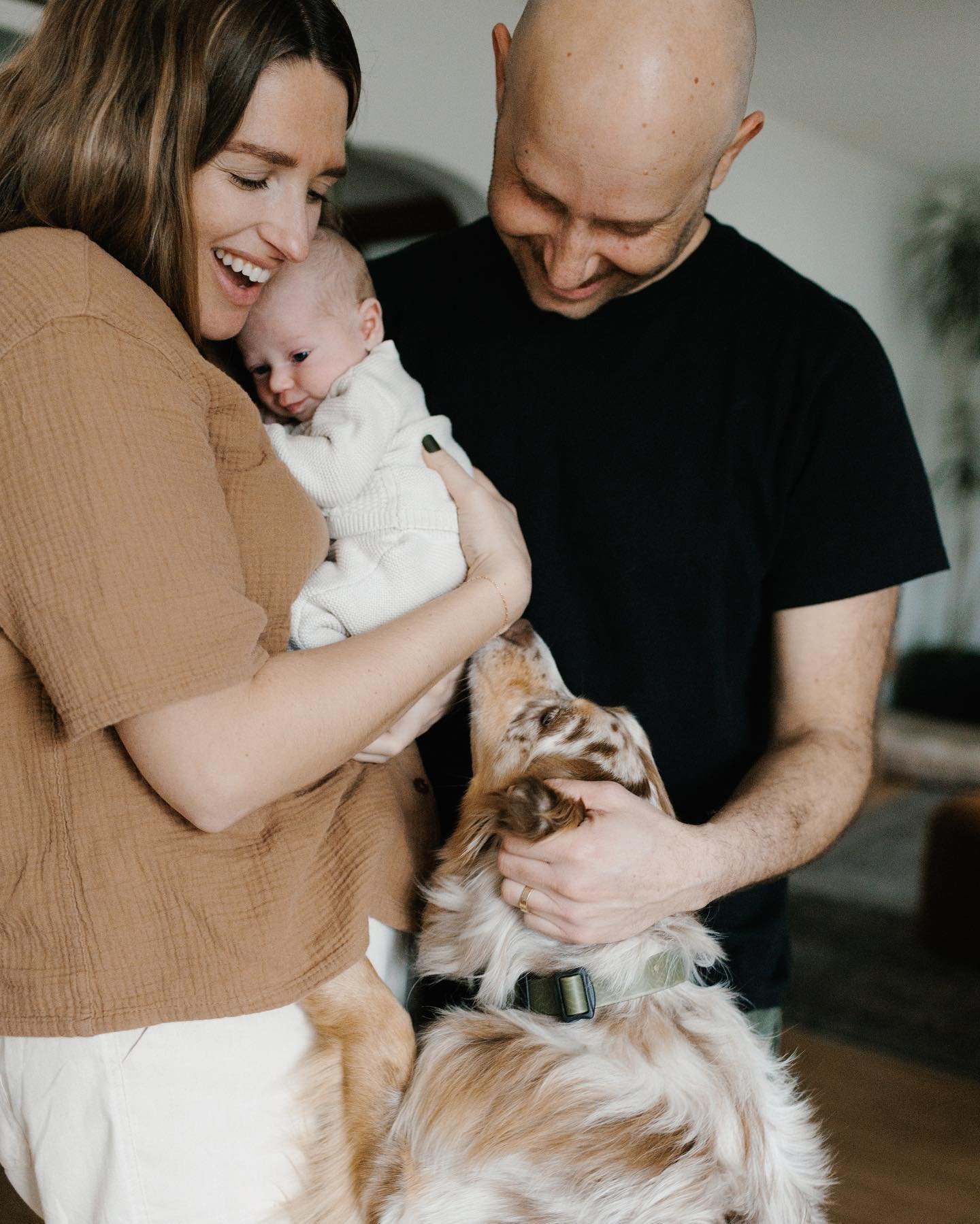 When you&rsquo;re excited about your newest family member. 🐕 Loved seeing this sweet pup&rsquo;s gentle eagerness to be close to the newest addition to the family, both after the baby arrived and before (swipe to see). Adding a baby to the mix can b