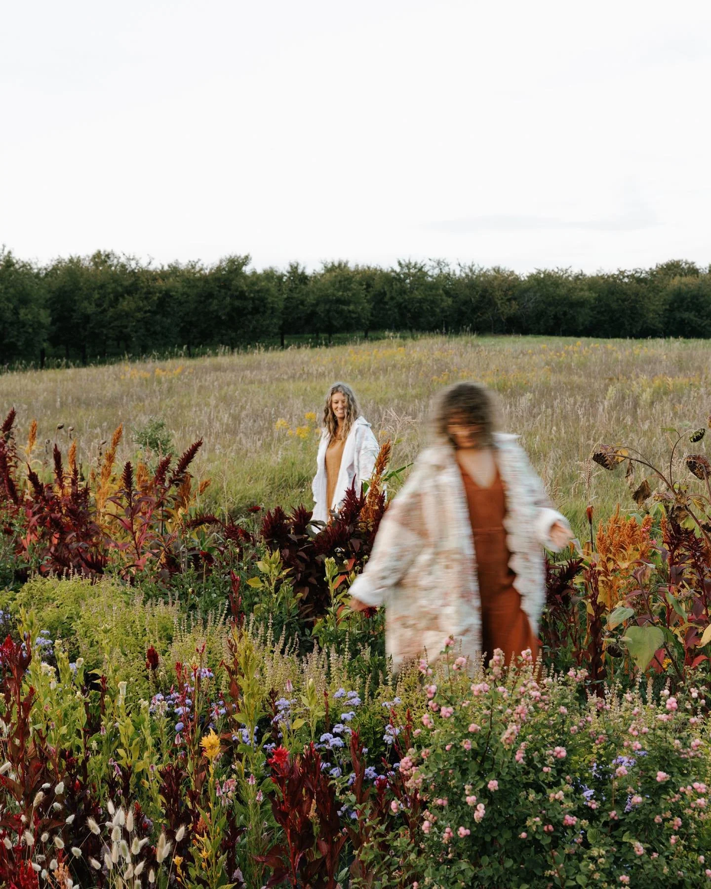Late summer in the flower field. @indiegrowflower invited us over for an evening immersed in September&rsquo;s bounty, cosmos and dahlias filling the garden and a table draped in flowers fresh fruit right in the middle. It was an evening she imagined