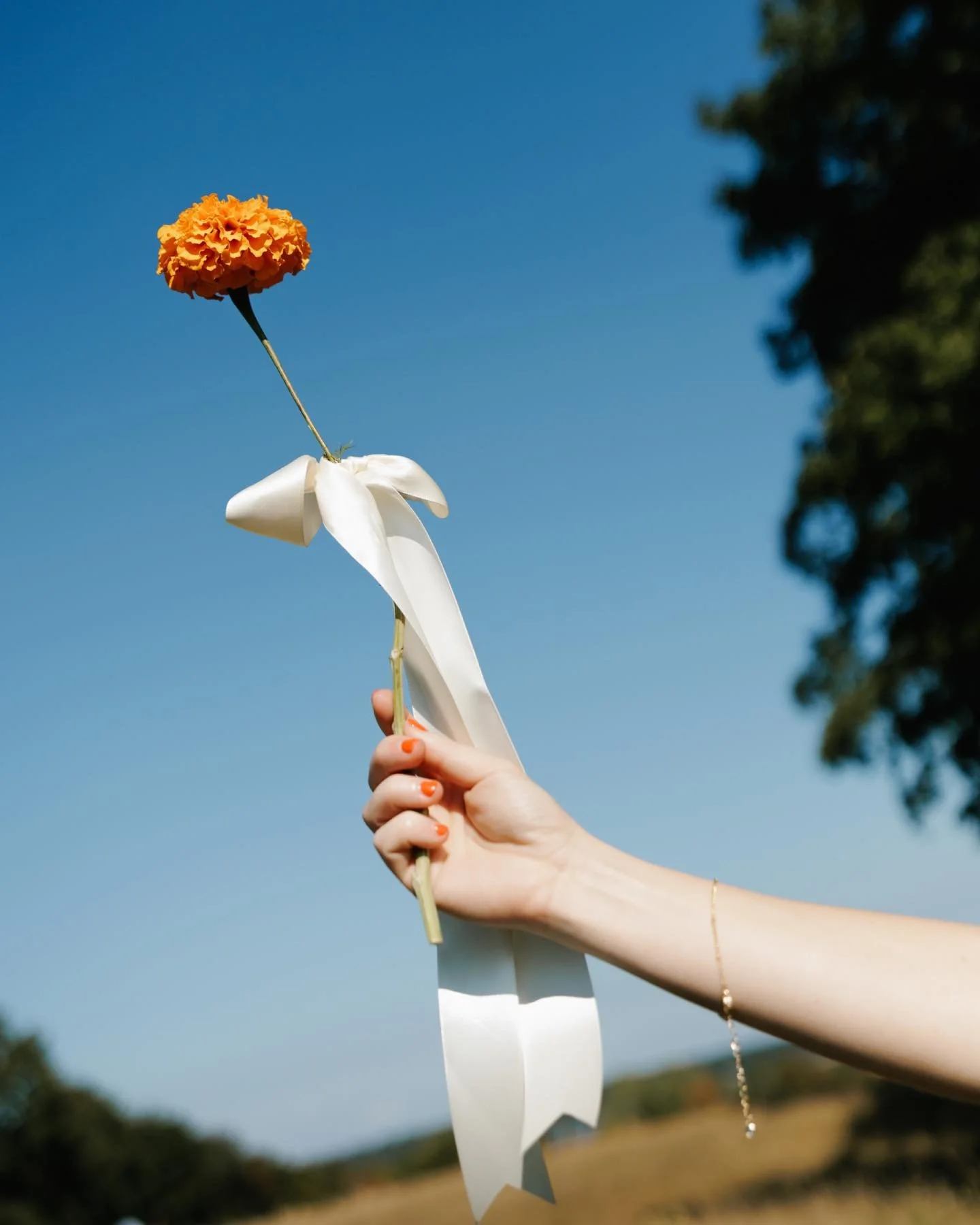 SOMETHING BLUE. 🌊 More specifically, the sky and water. I am endlessly inspired by the landscape around us, and living/working in a region surrounded by water has certainly impacted my work (and life). I love all the ways the color blue shows up in 