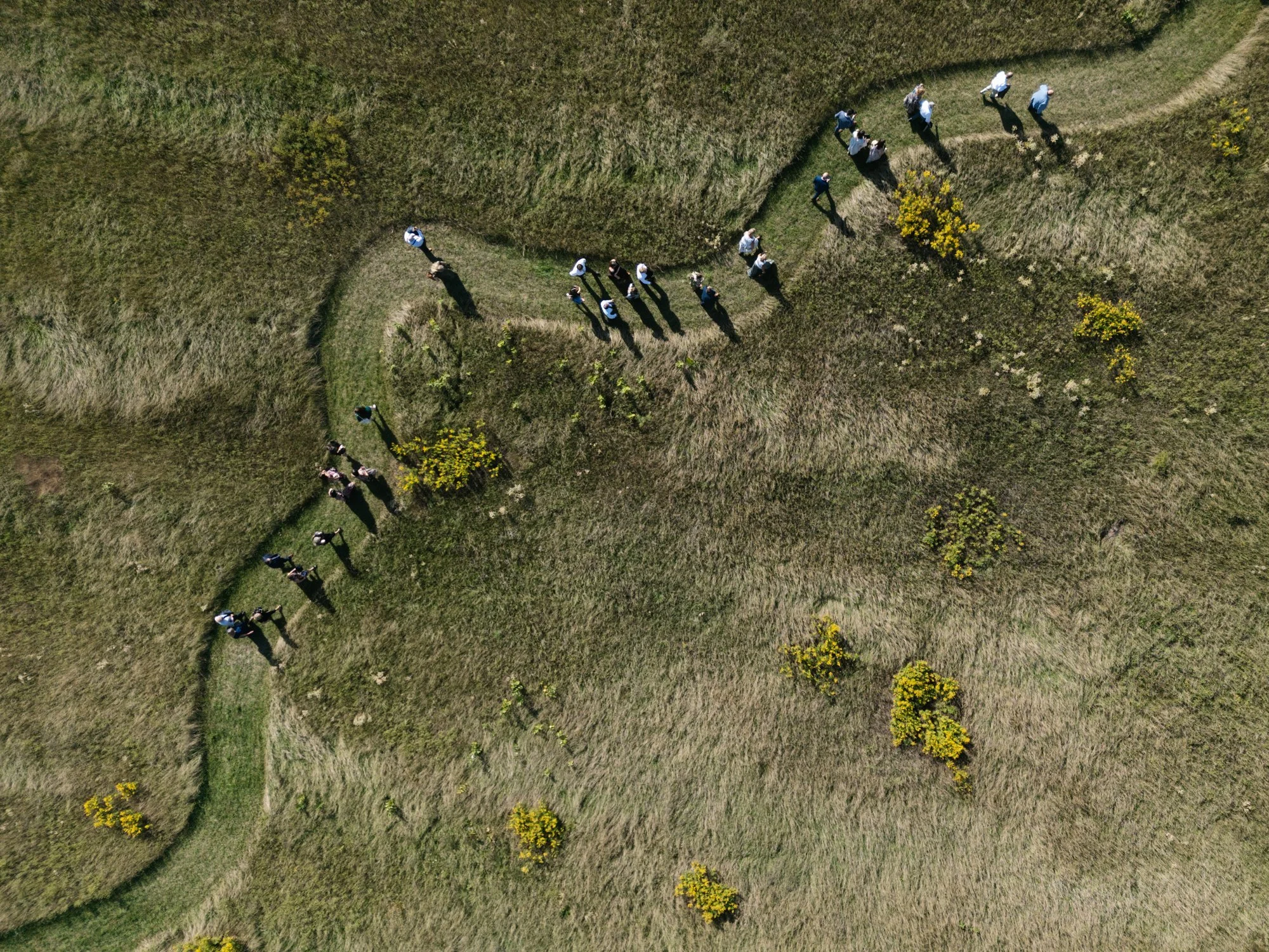 Foxglove Farm Wedding: Featured on Carats &amp; Cake