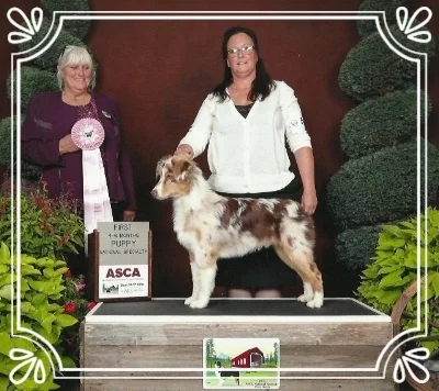 Took his class at national under Sr. Breeder Judge Sue Holt.