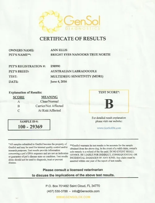 Nanooks MDR1 Test. He is a M/N