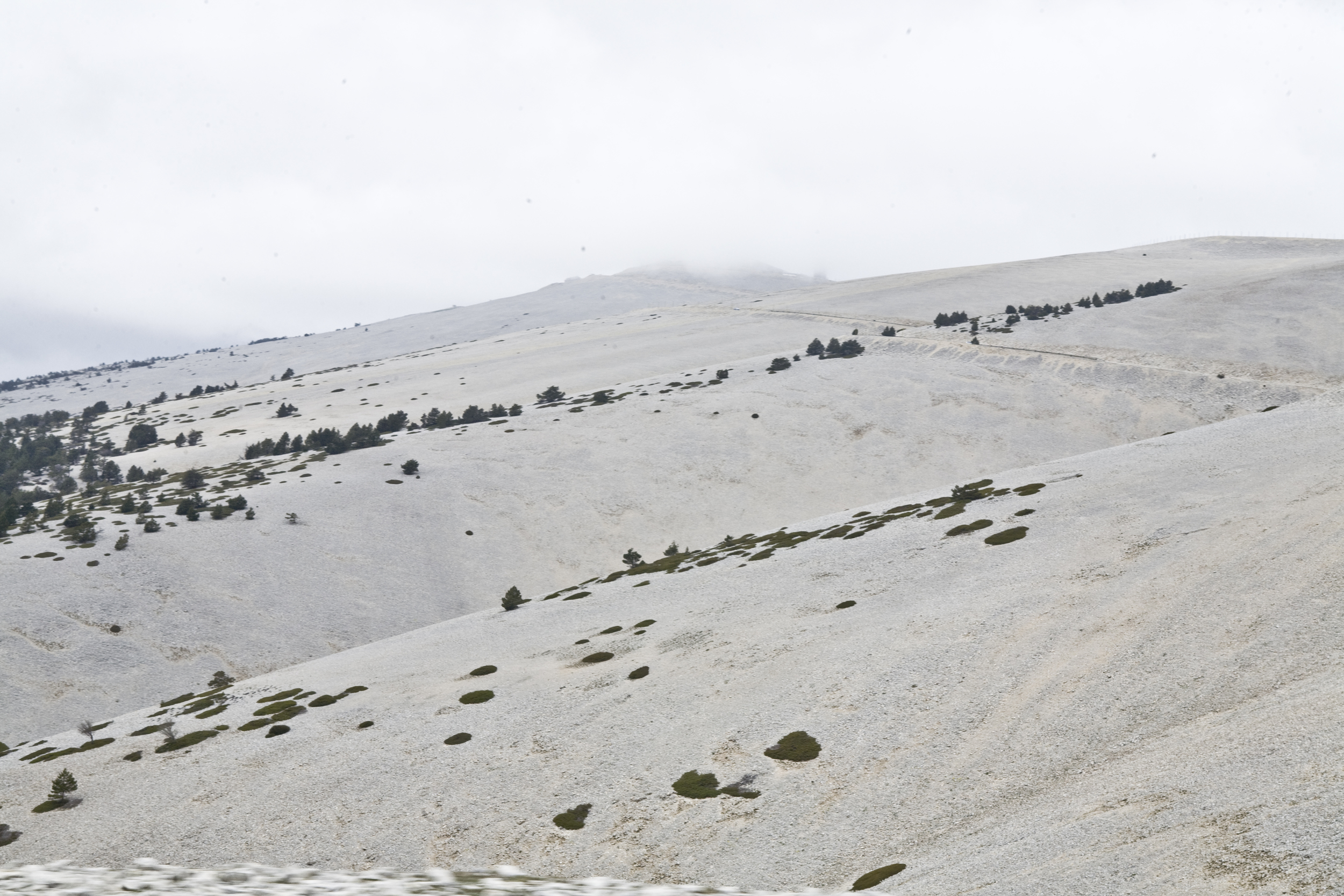 France_2014_080.jpg