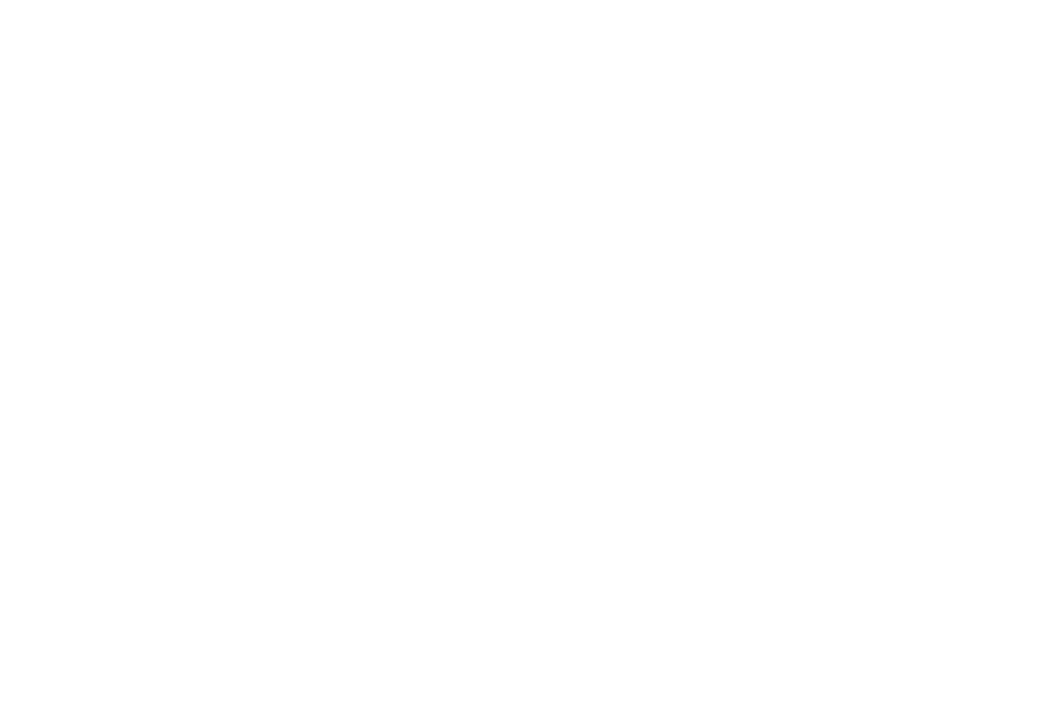 The Shoptaw Group