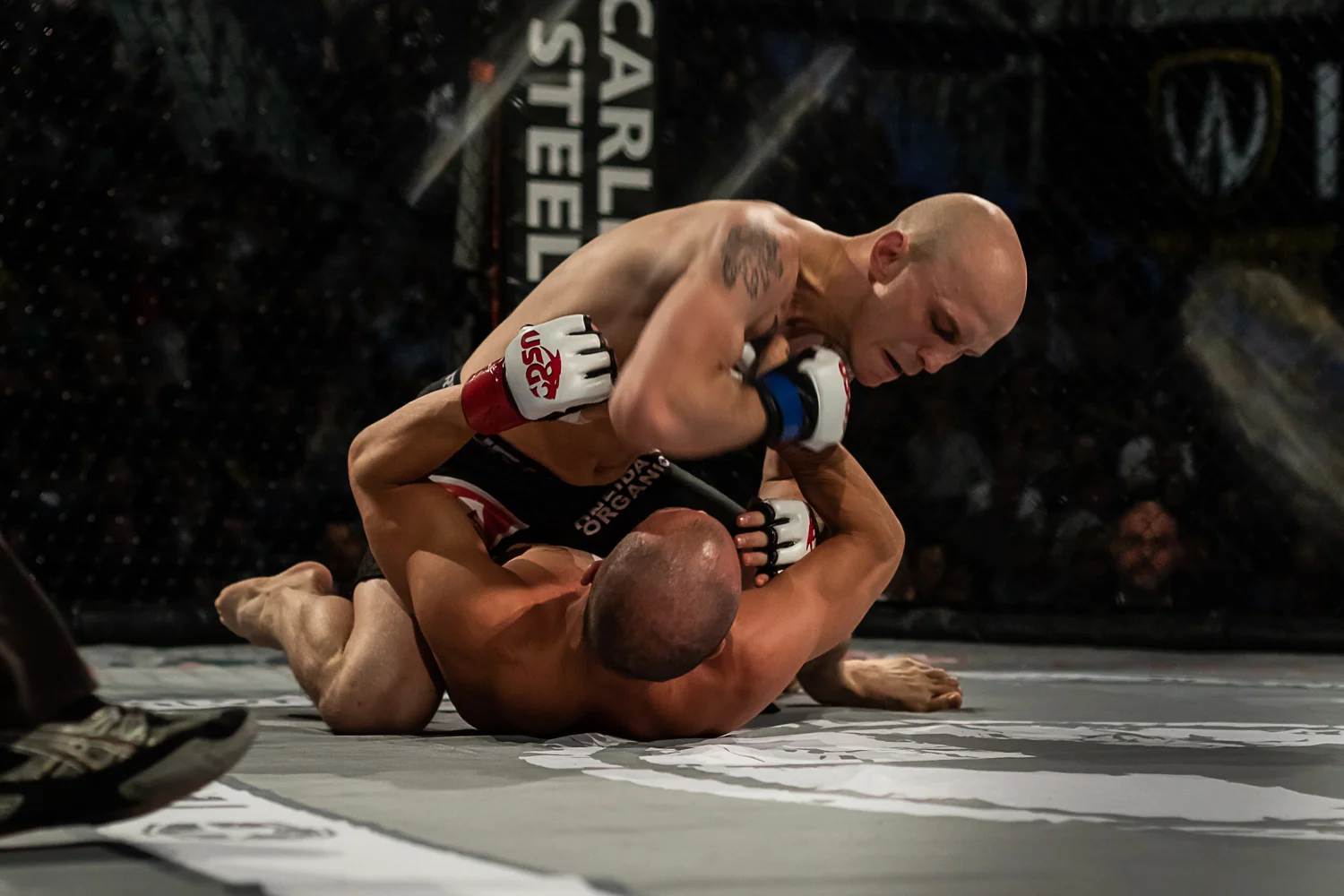 Fight #6 - Mattia Hovorka (W) vs Matt Haskell (L)