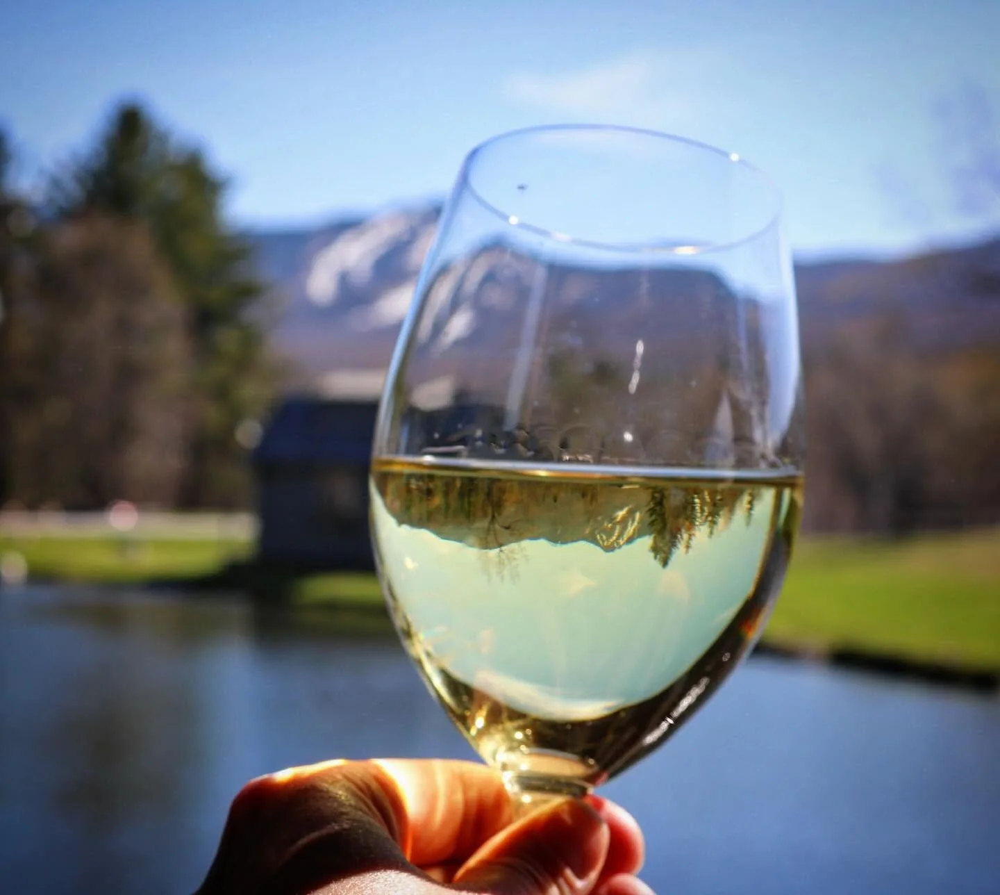foundry wine refeflection.jpg