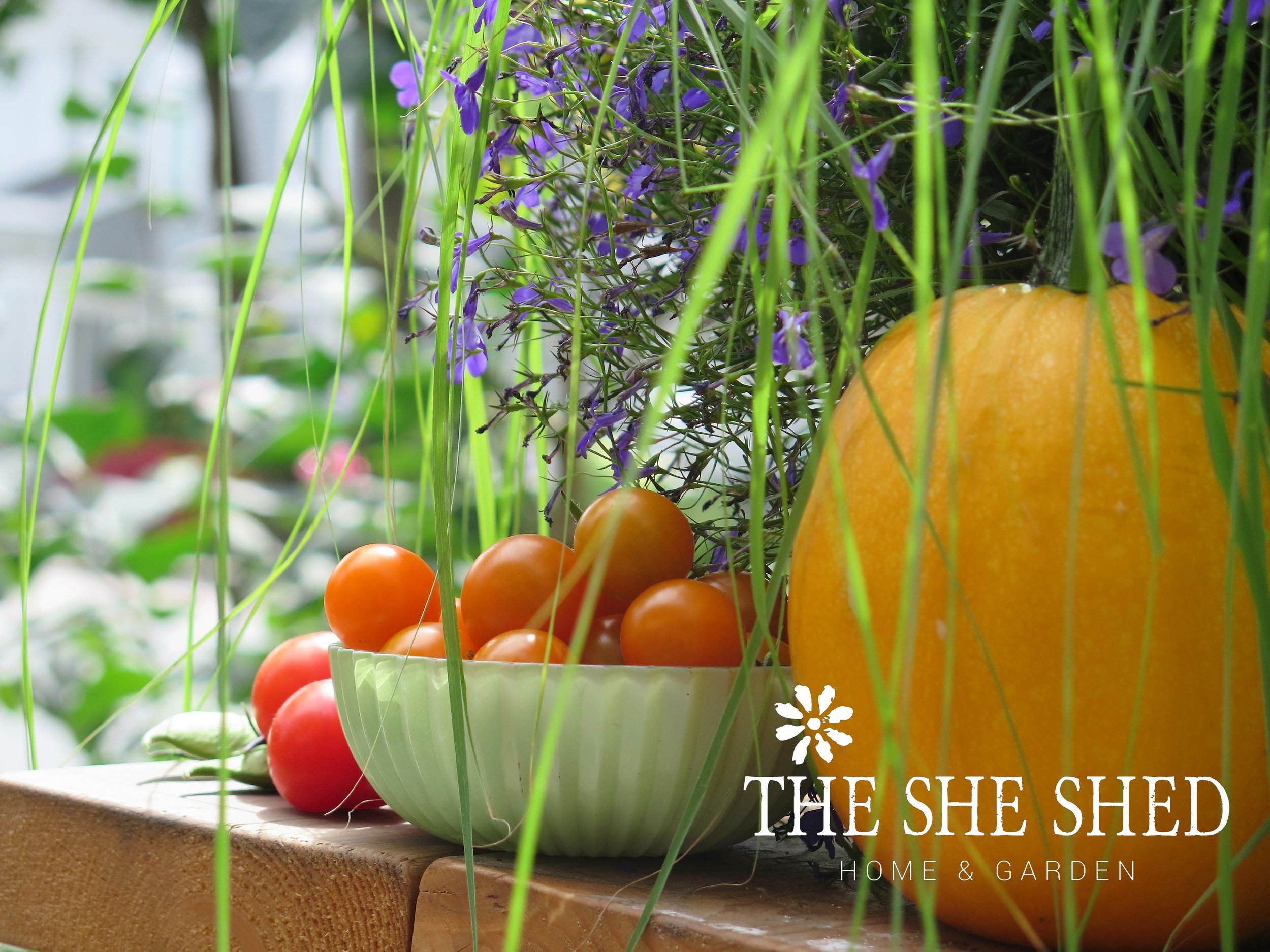 On tonight's menu.....scarlet runner beans, stupice and sungold tomatoes, Tennis ball courgette.