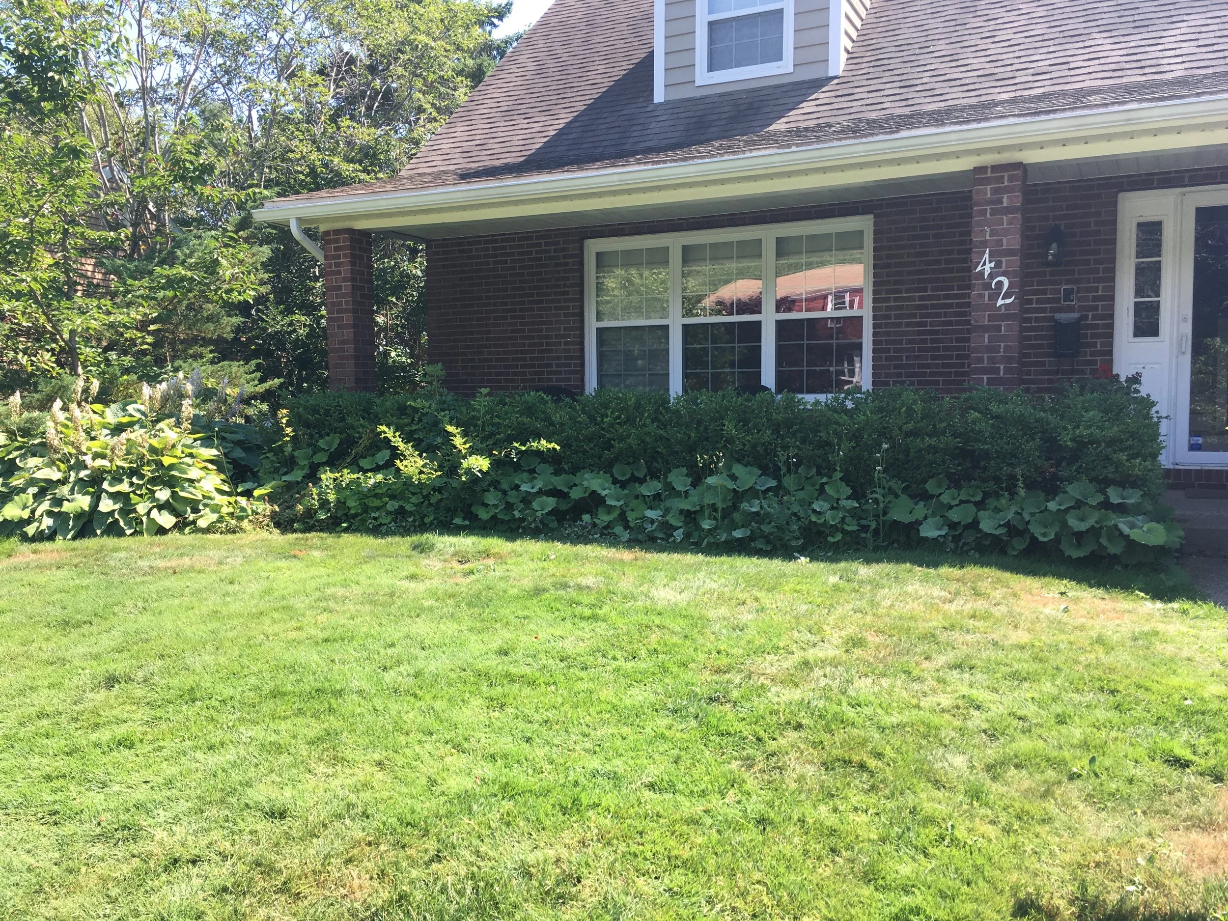 Before - Front Foundation Garden