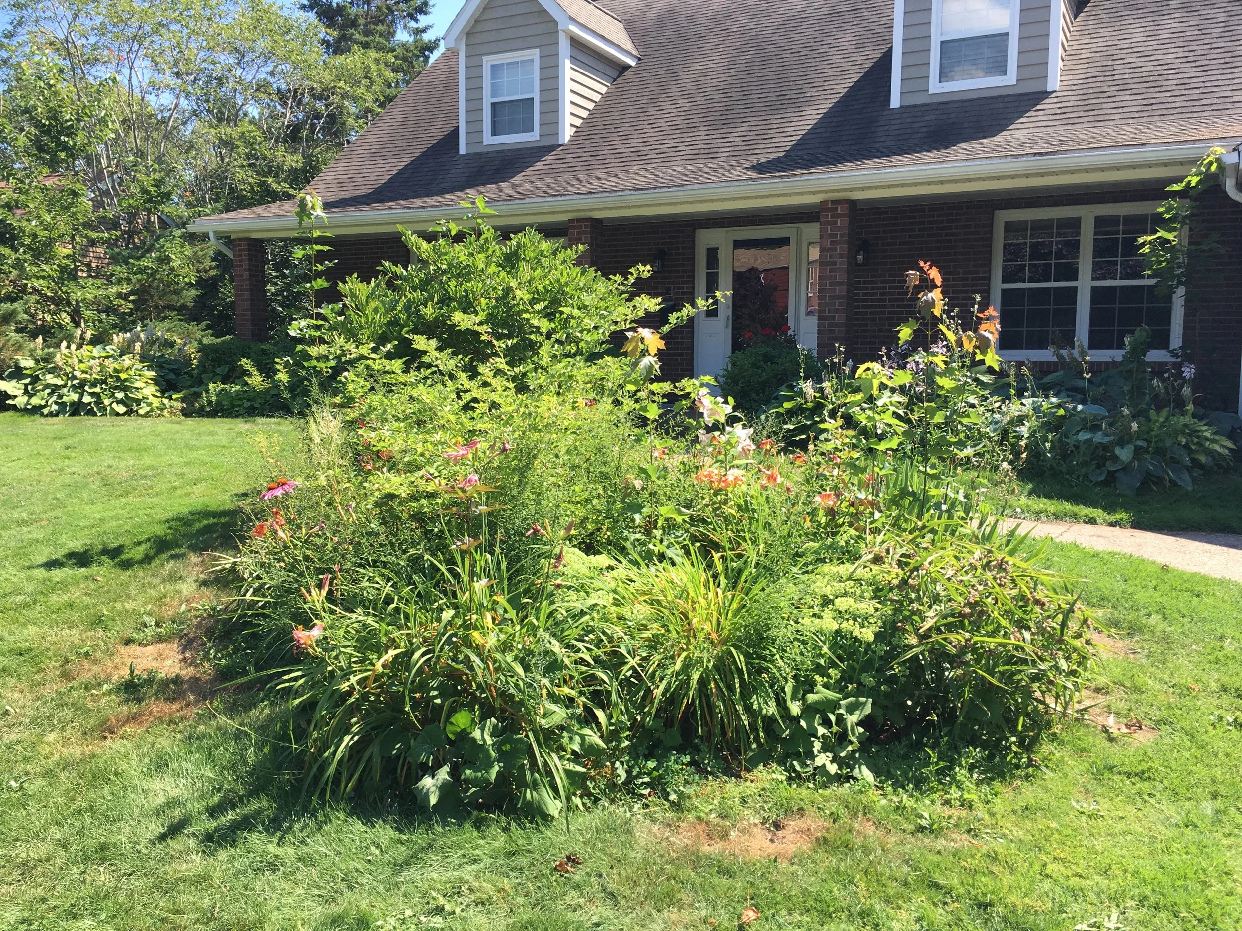 Before - Front Center Garden 