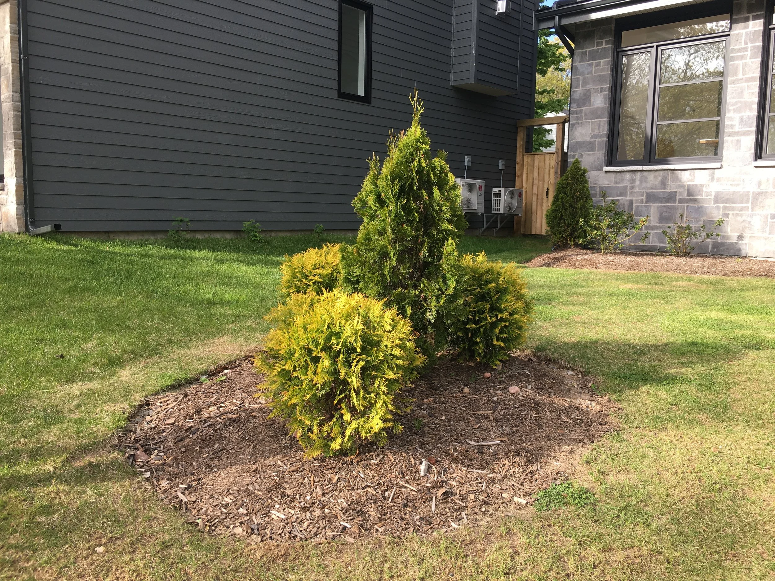 Before - Front Center Garden
