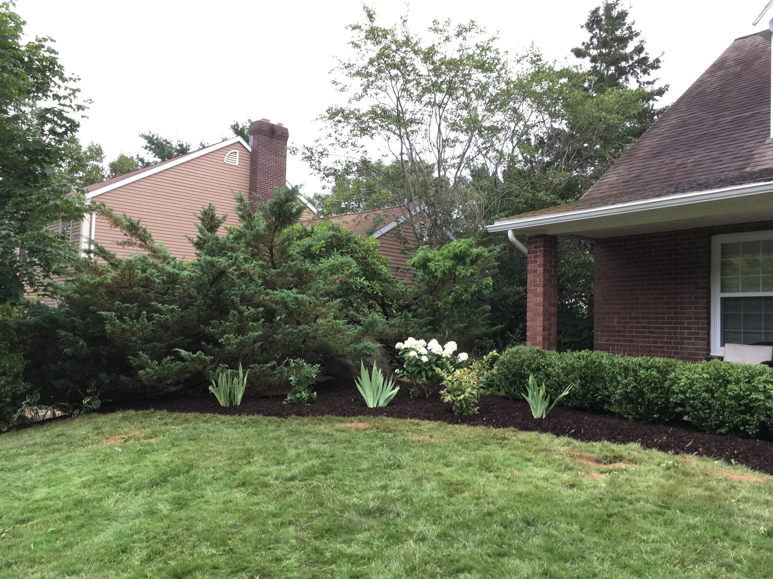 After - Front Foundation Garden
