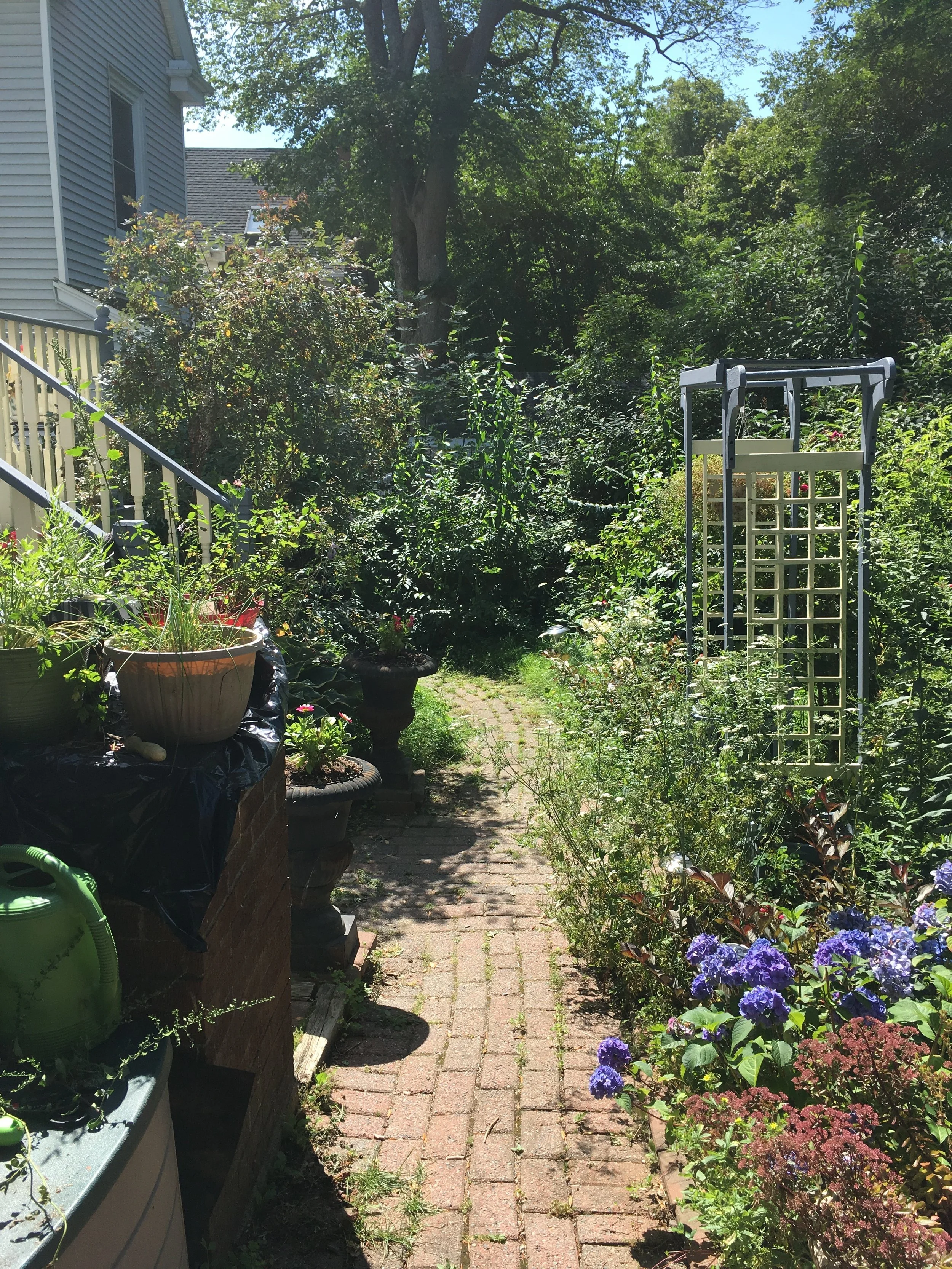 Before - Rear Garden