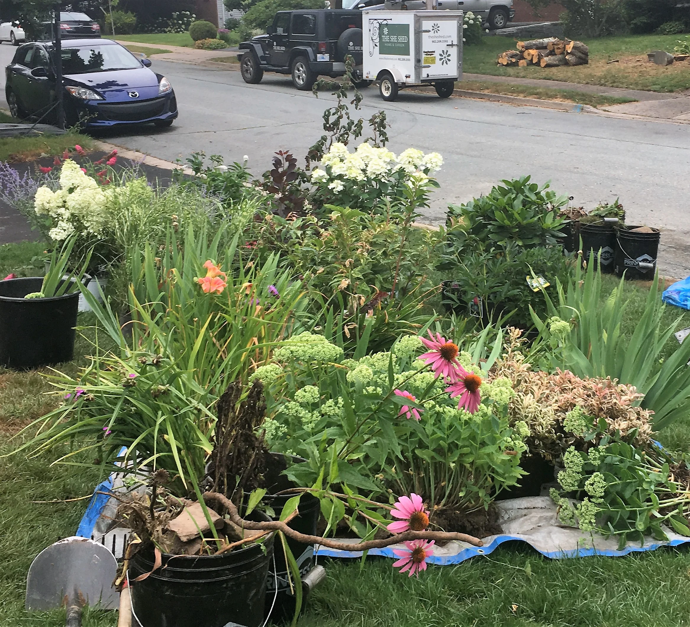 Before - Front Center Garden