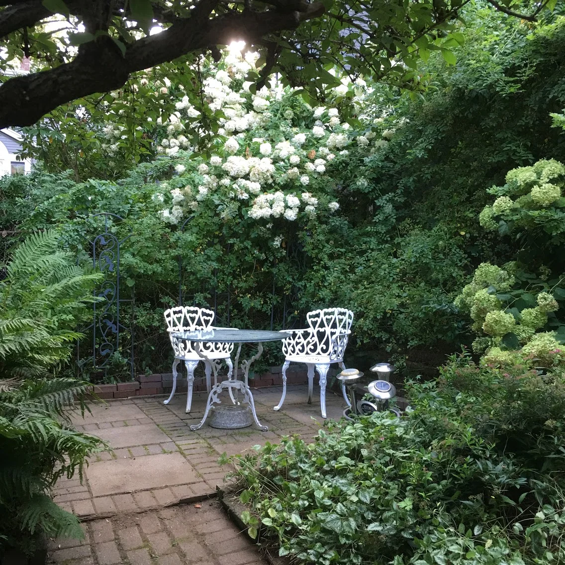 After - Back Garden Room