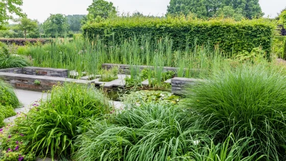Untitled design (13).jpg