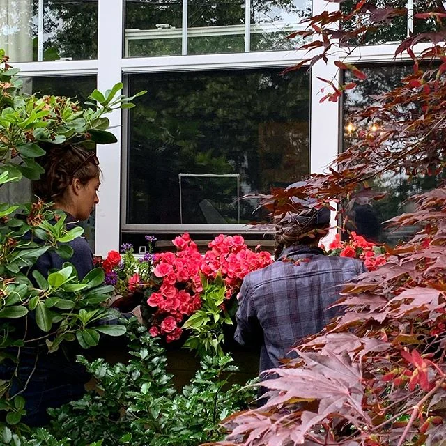 THE SHE SHED Crew installing a custom built select pine window planter box by @andrewsorensenhalifax for a pop of colour contrast. Solenia Begonia, Sweet Potato Vine, Ferns and Purple Fan Flower 🌸 &bull;
&bull;
&bull;
&bull;
&bull;
#thesheshed #thes