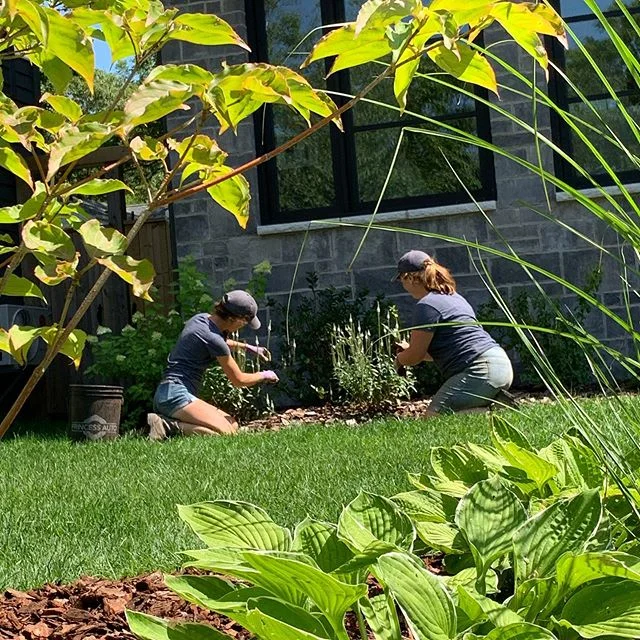 Spent the morning in the White Moon Garden (featured in our portfolio) doing some maintenance. Sometimes it&rsquo;s nice to wind down, relax, and spend some quality time tending to plants. 🌿❤️ If you want to see more of this garden, head over to our