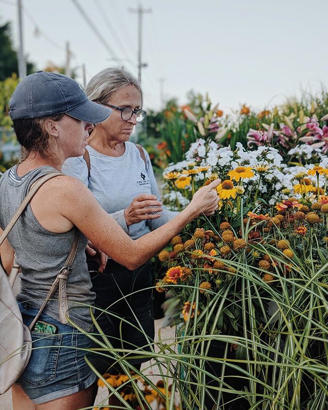 Colleen and Amy checking out nursery inventory and brainstorming garden design ideas ... 💭🌼 &bull;
&bull;
&bull;
&bull;
&bull;
#thesheshed #thesheshedhalifax #joblove #loveyourgarden #gardenlandscapes #gardendesign #yourgardenourcanvas #sunsoutguns