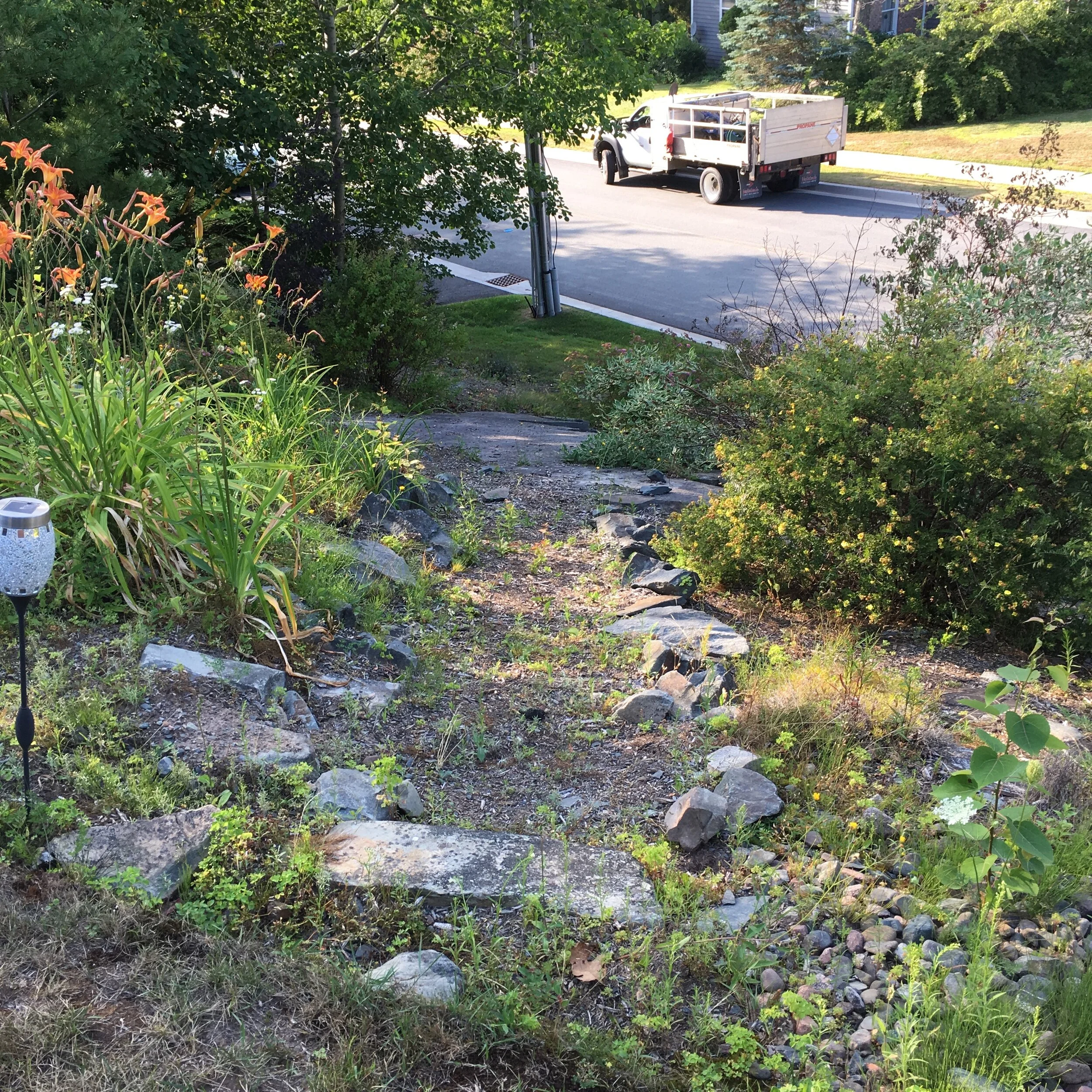 Garden Path - Before