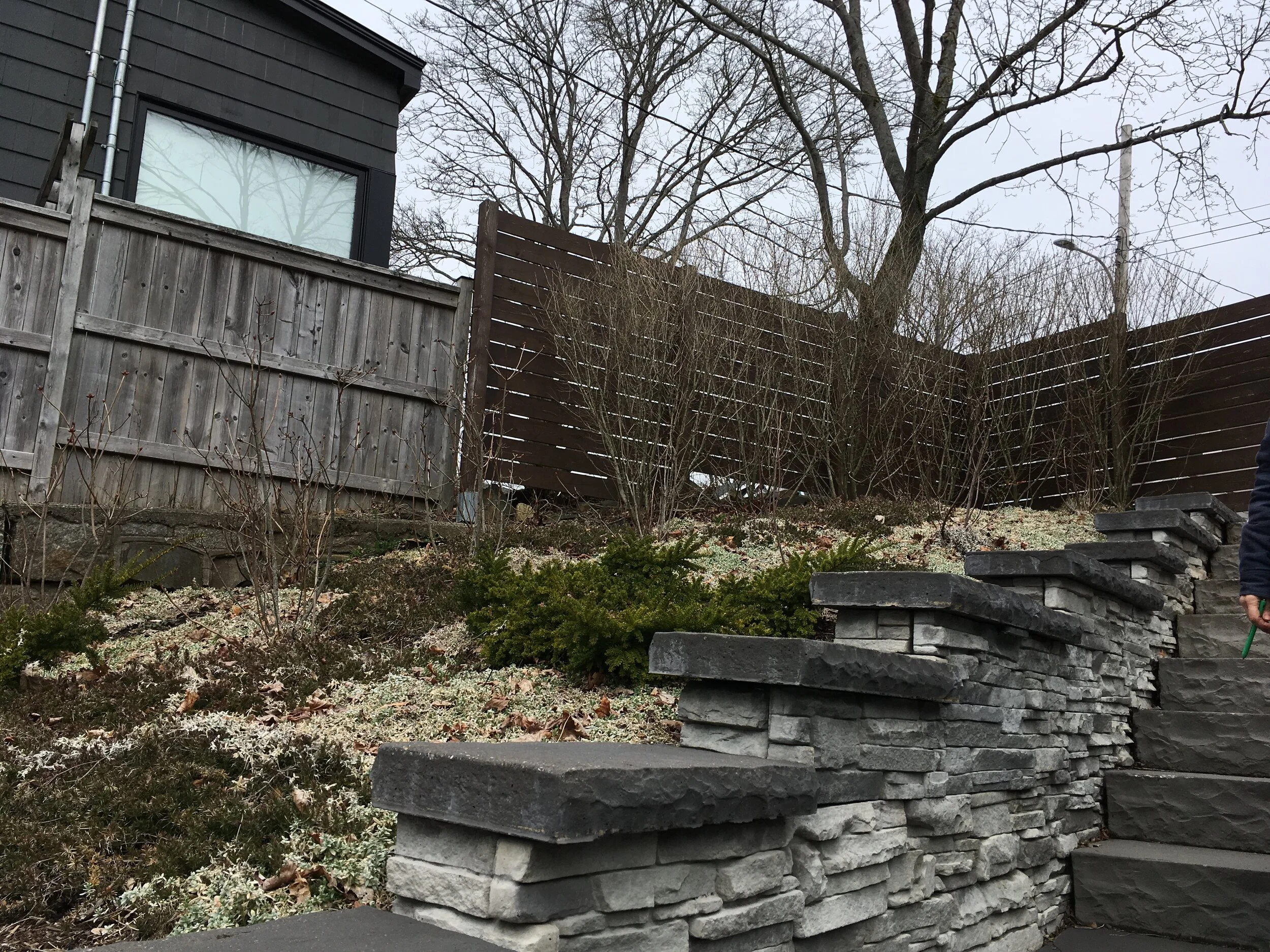 Left garden - Before