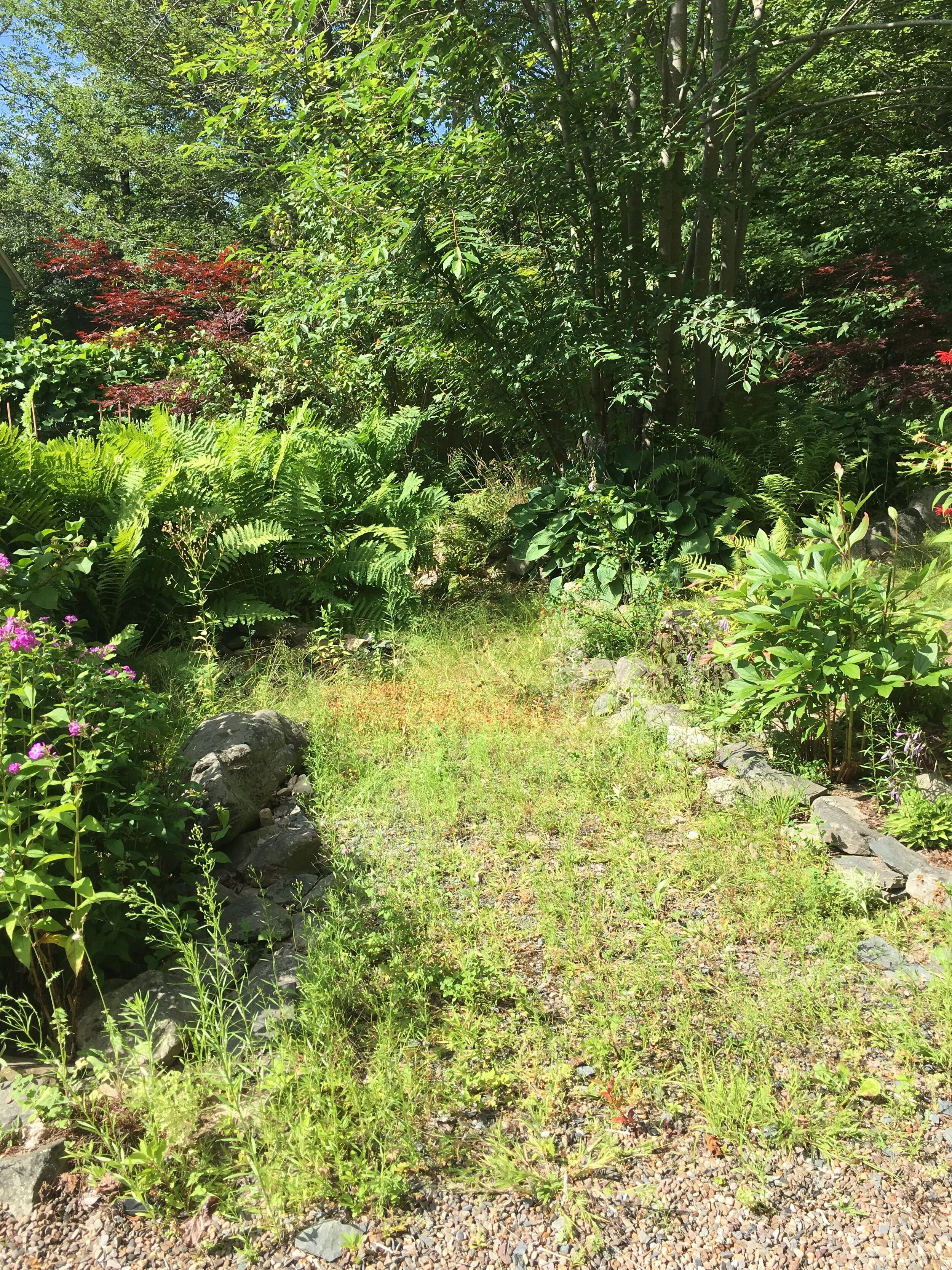 Back Left Garden - Before