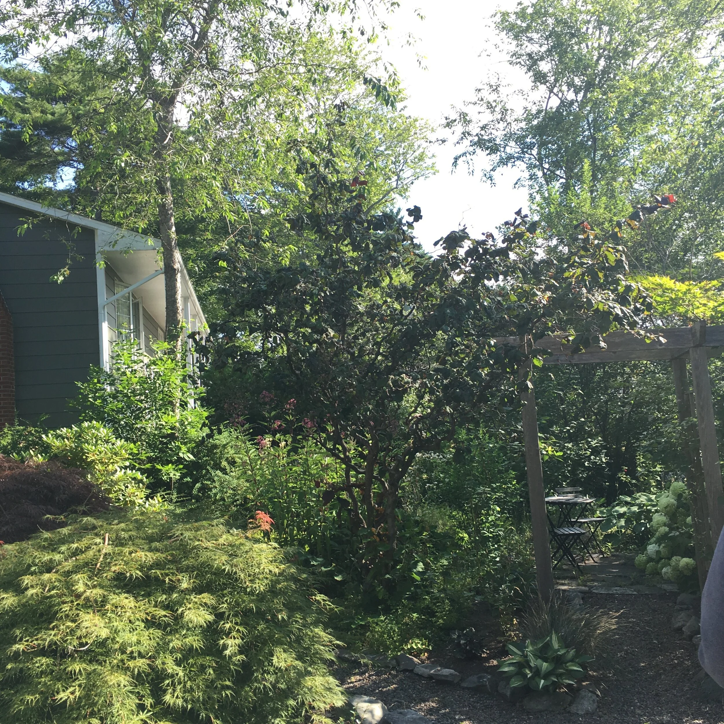 Front Right Garden - Before