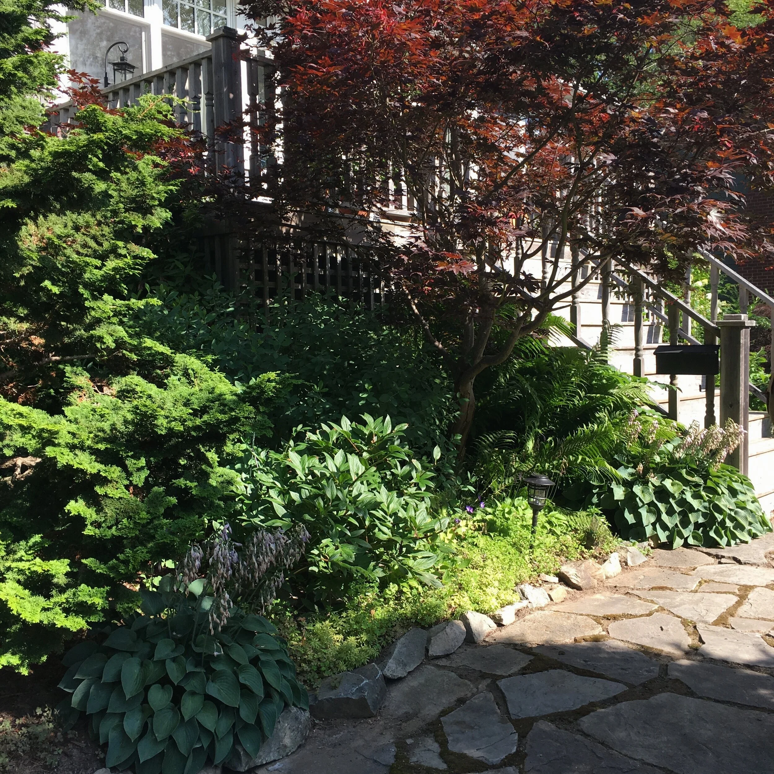 Front Left Garden - Before