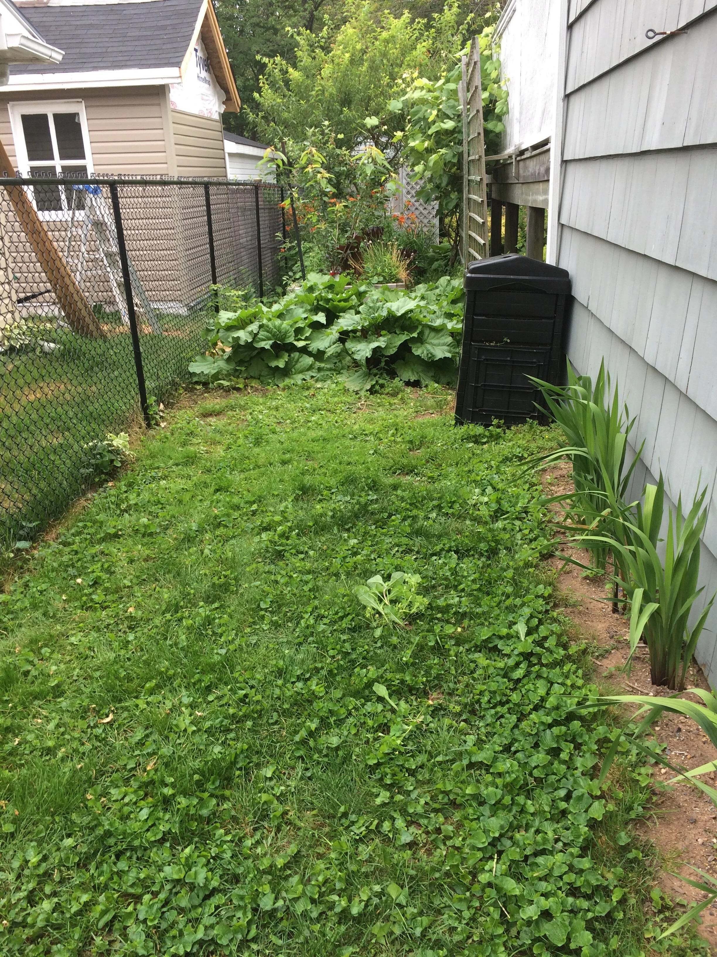 Access to Edible Garden - Before
