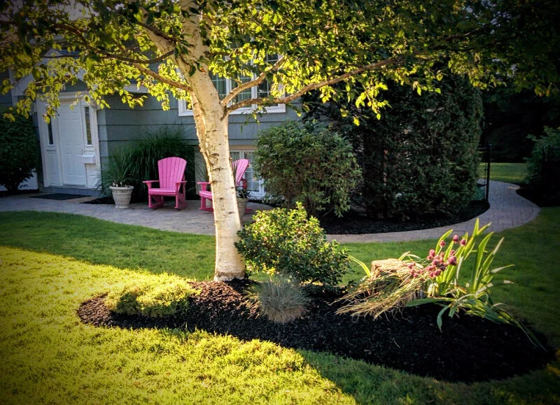 Front Garden Bed - After