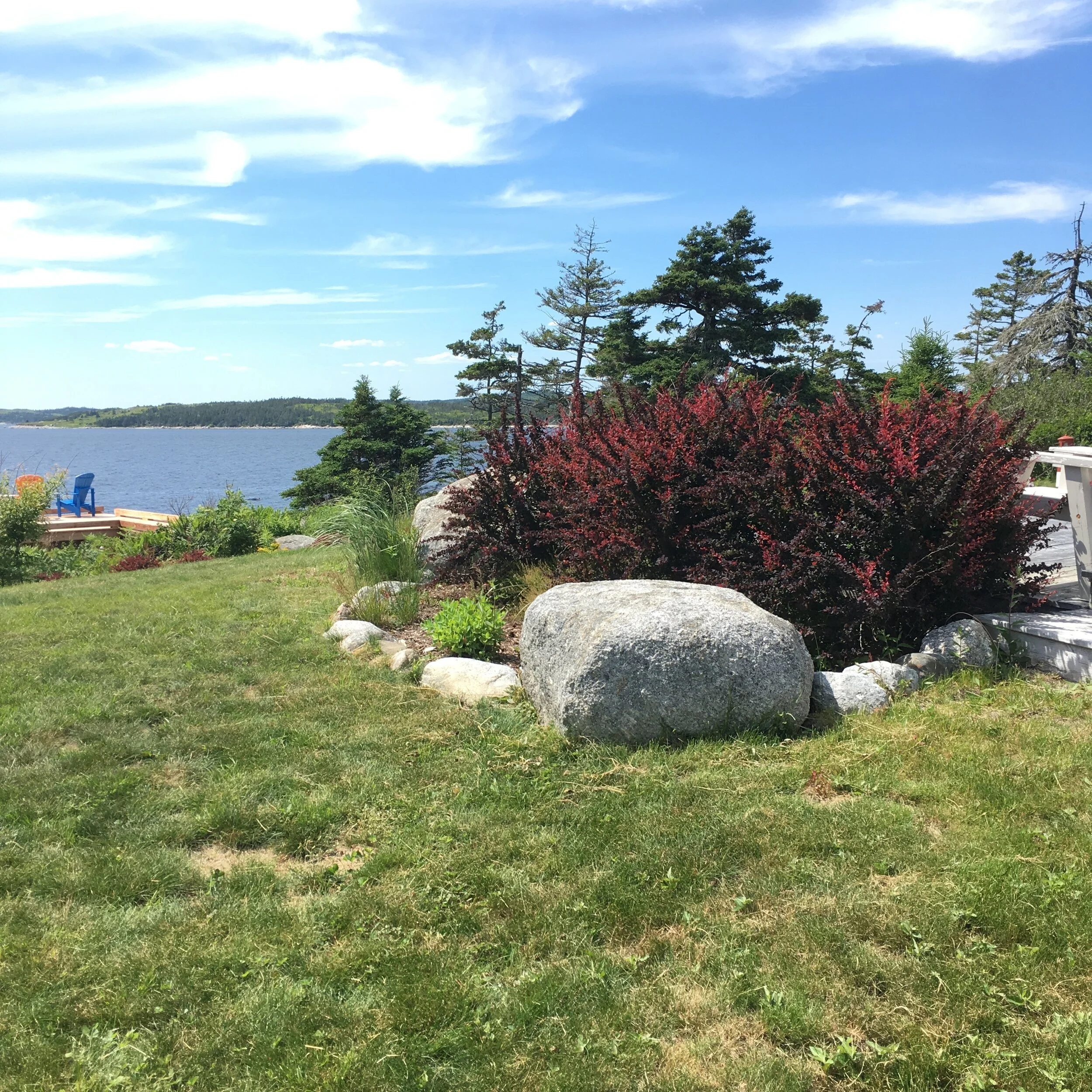 Left Garden - Before