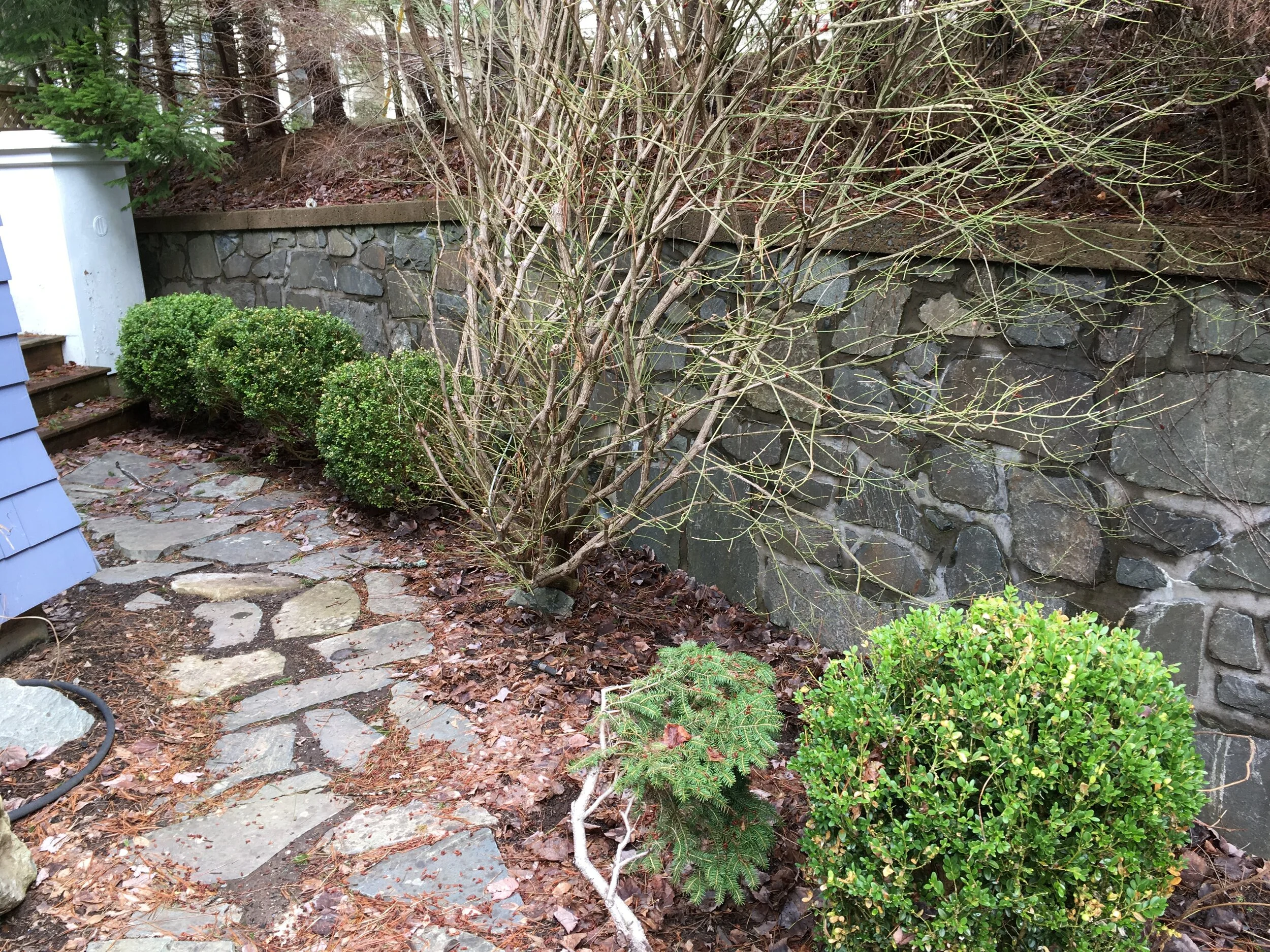 Right Garden - Before