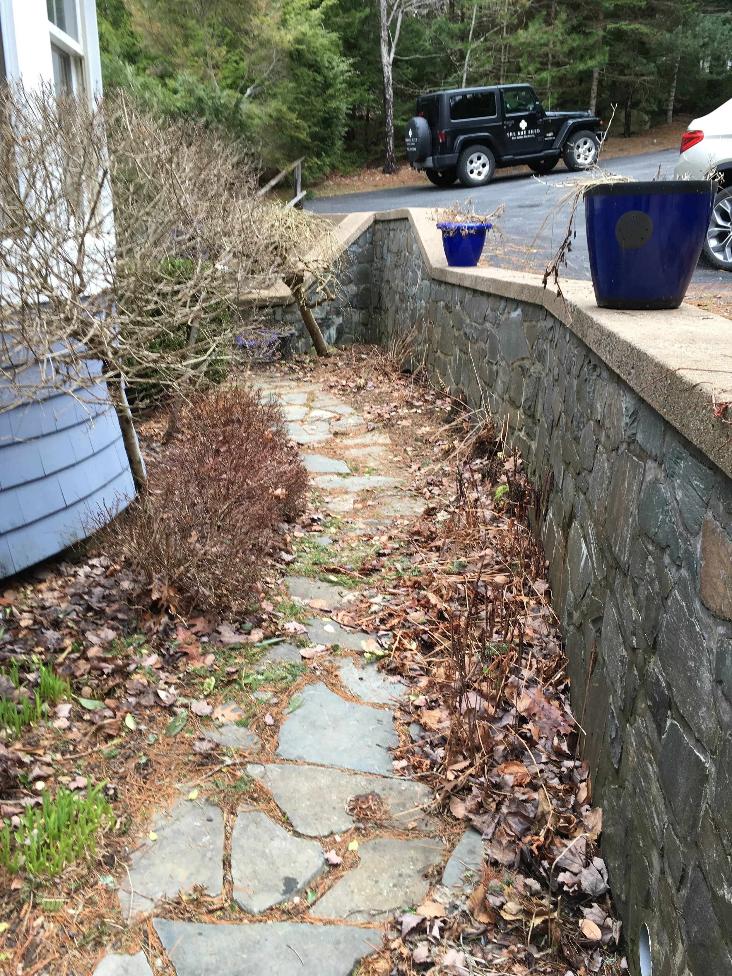 Left Garden - Before