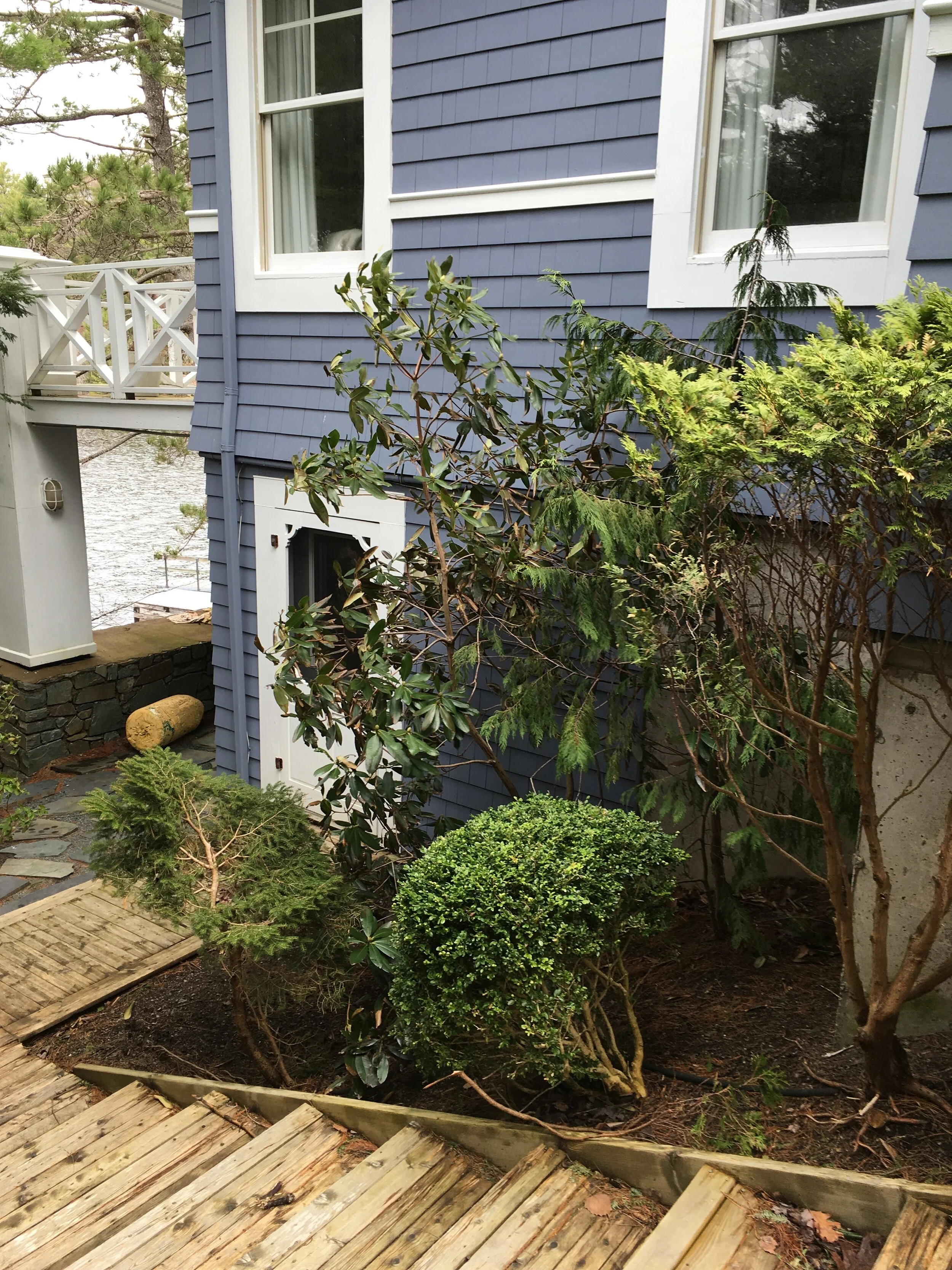 Left Lower Foundation Garden Bed -  Before