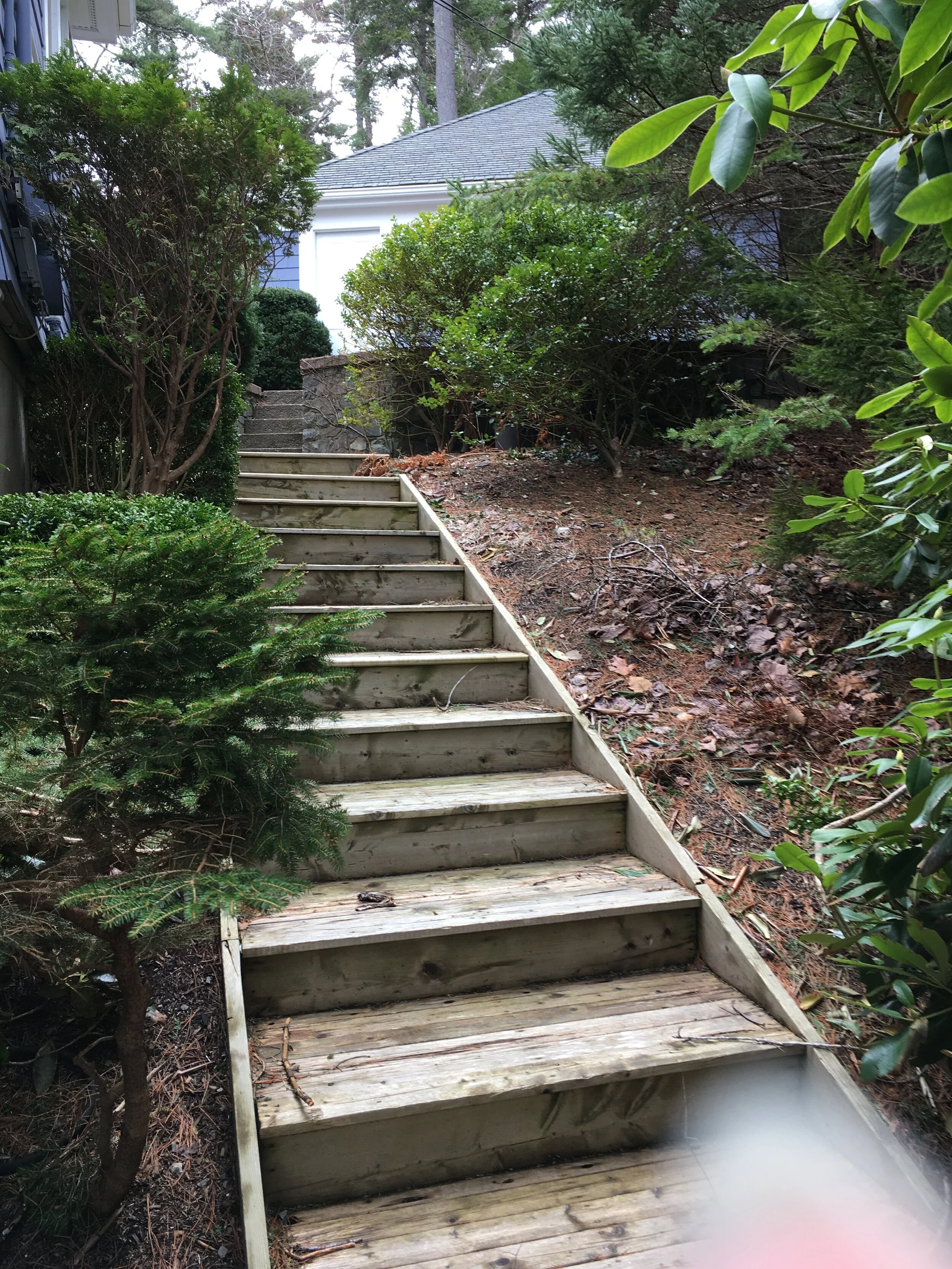 Left Lower Walkway Garden Bed -  Before