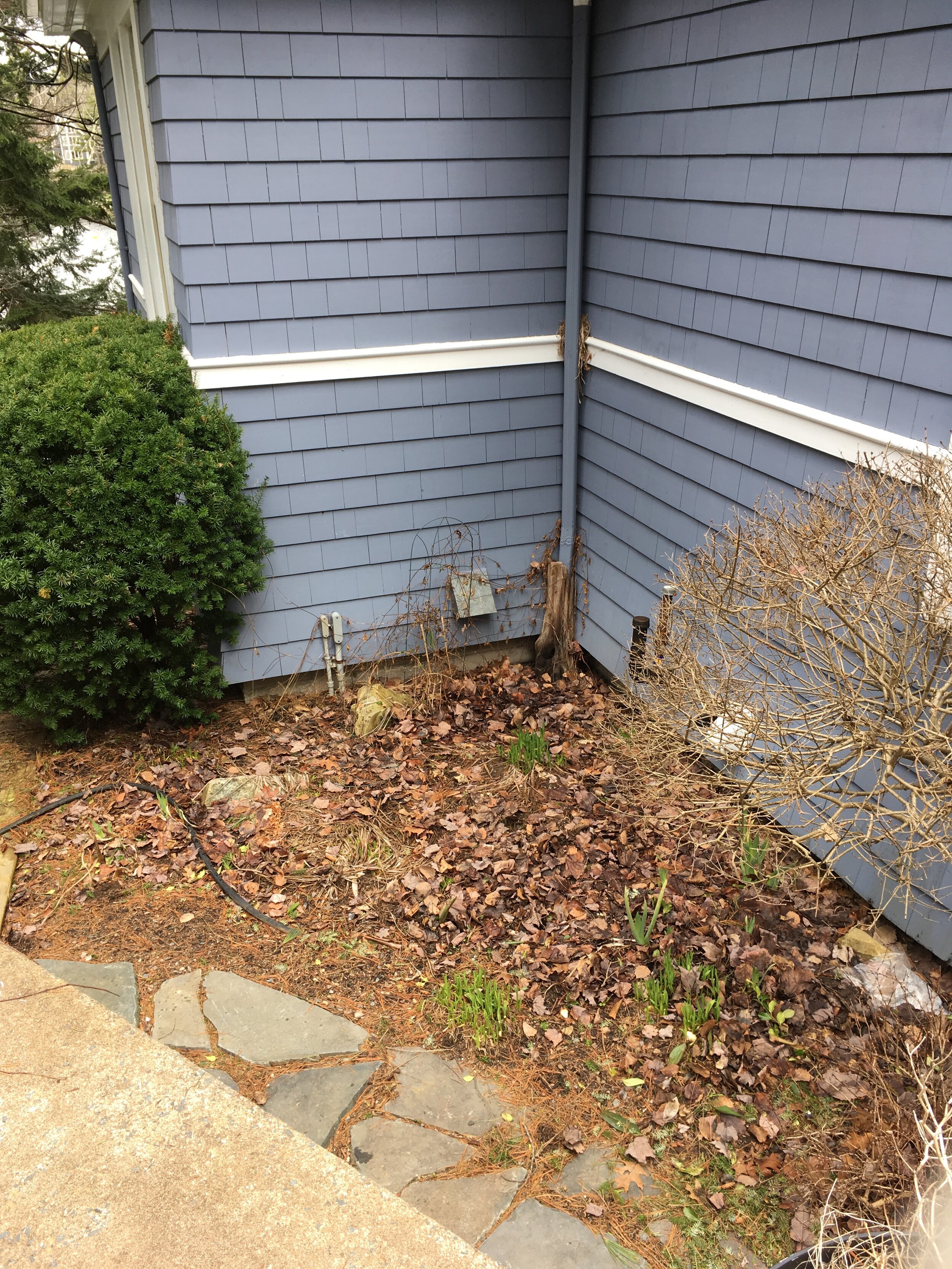 Left Corner - Before