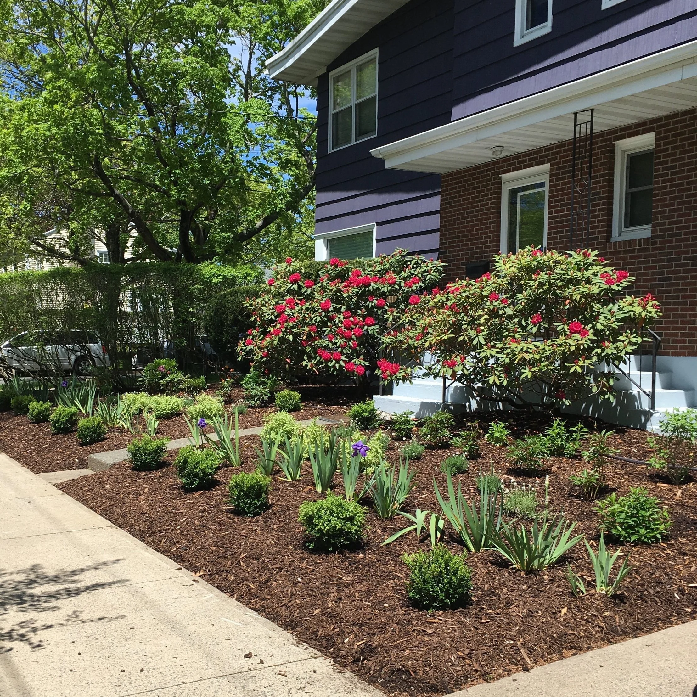 Front Garden - After
