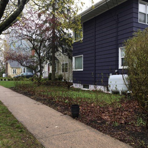 Left Garden - Before