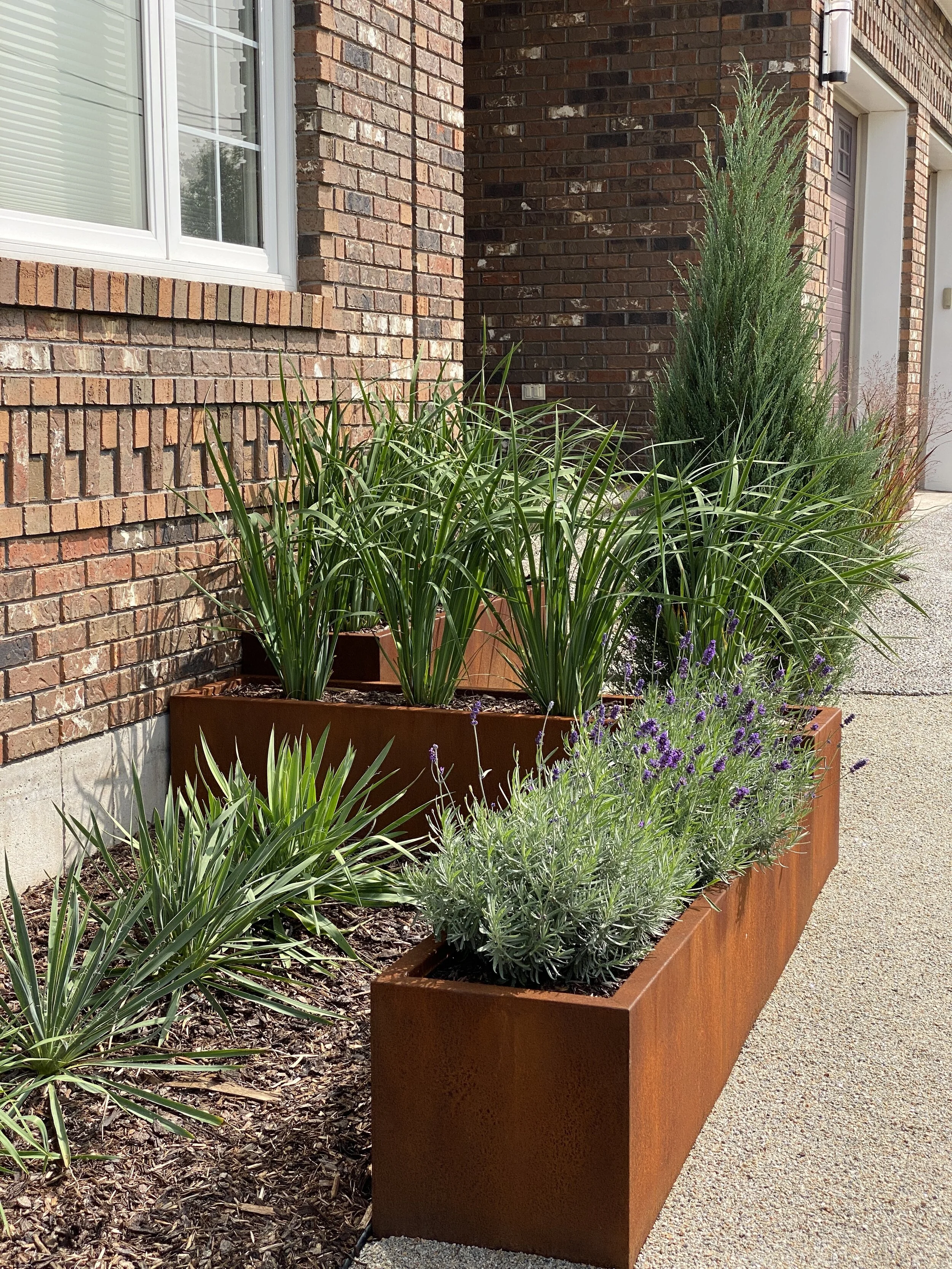 Center Foundation Garden - AFTER