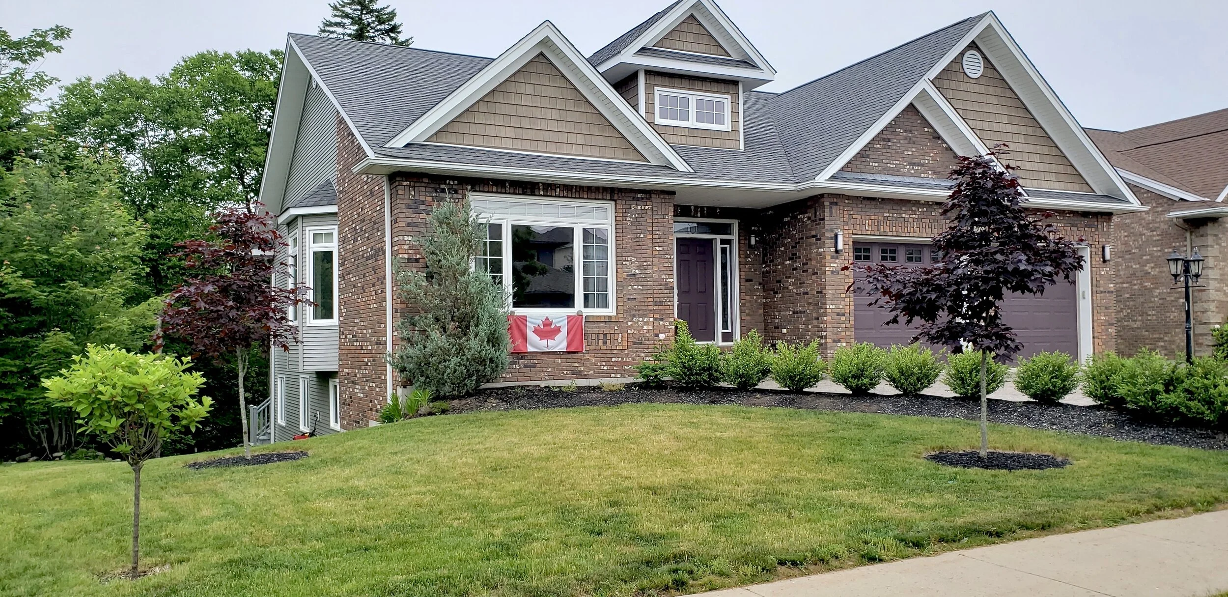 Front Garden - BEFORE