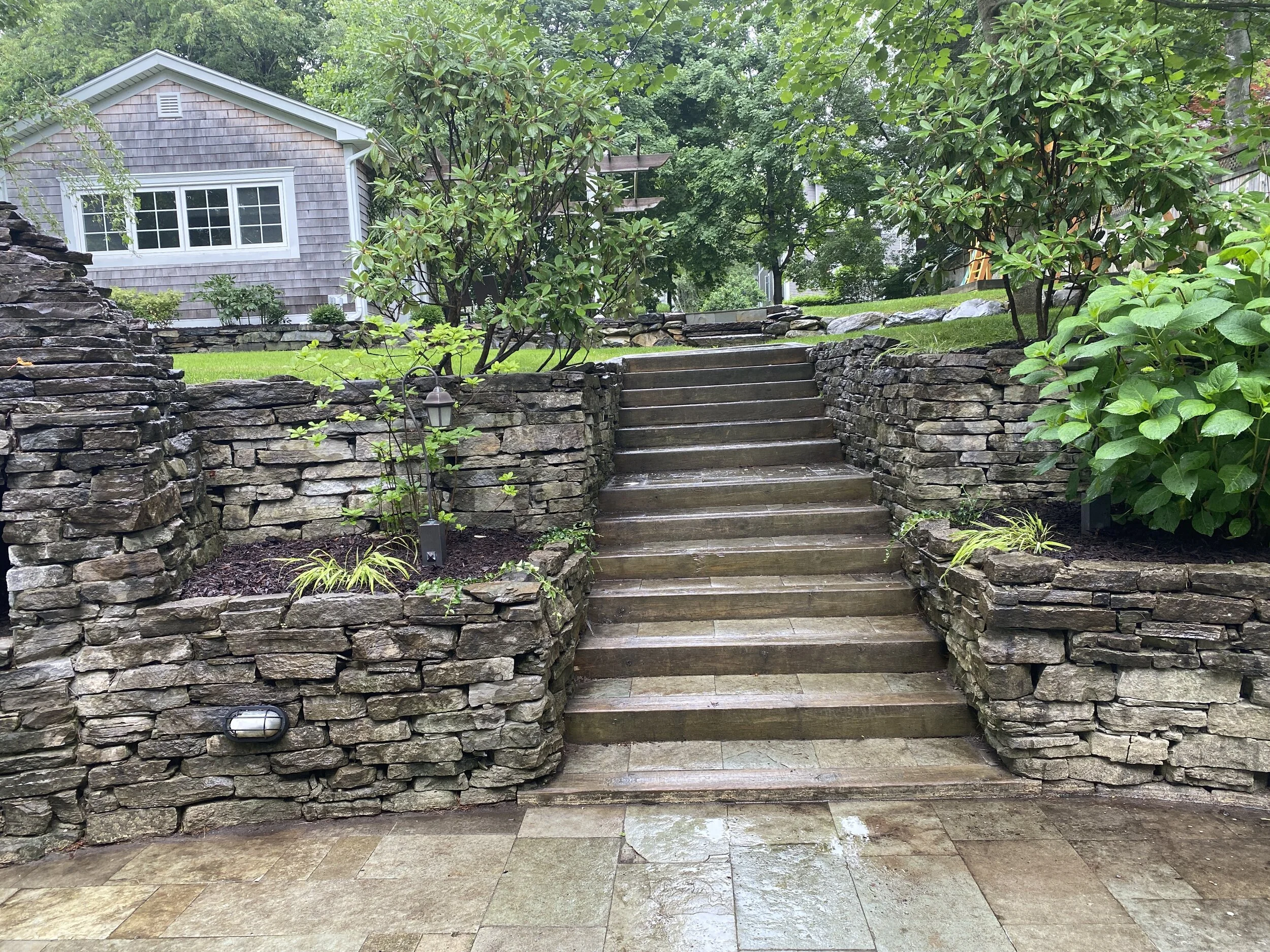  The garden renovation included pruning mature rhododendrons and a cherry tree. The shady area here was refreshed with Japanese forest grass, mountain laurel, blue and white vinca, evergreen azaleas, Wedding Gown hydrangea and gorgeous Percy Wiseman 