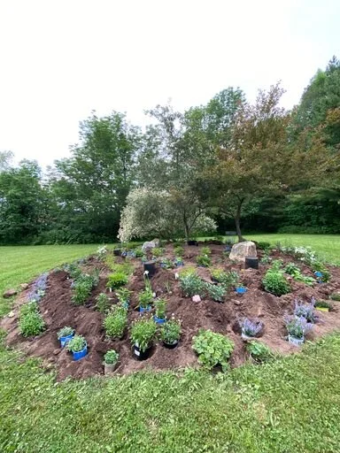GARDEN BED - IN PROGRESS