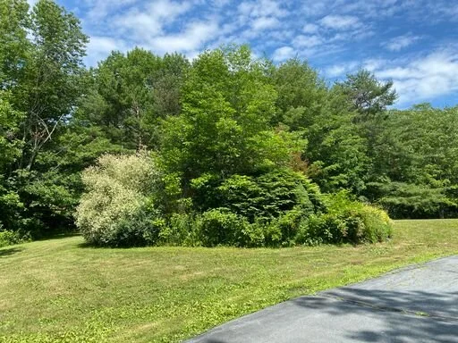 GARDEN BED RENOVATION - BEFORE