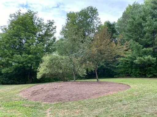 GARDEN BED - IN PROGRESS