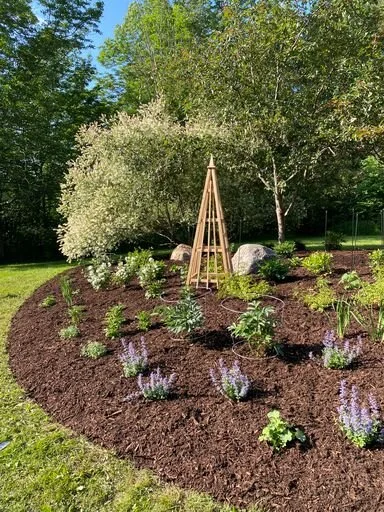 CATMINT AND BOULDERS
